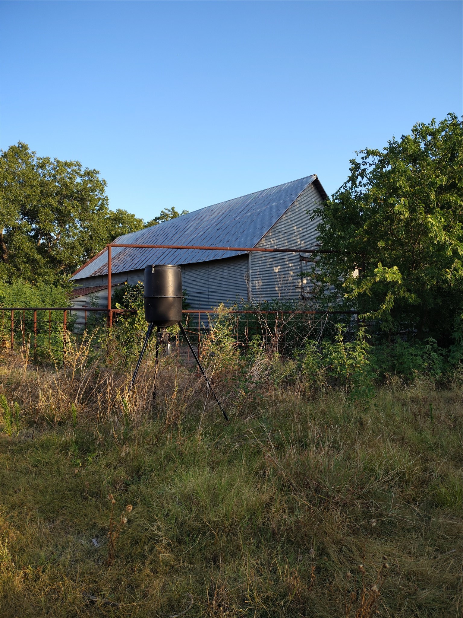 Metal-sided barn behind overgrown grass, with a black feeder and rust-colored fence in front.
