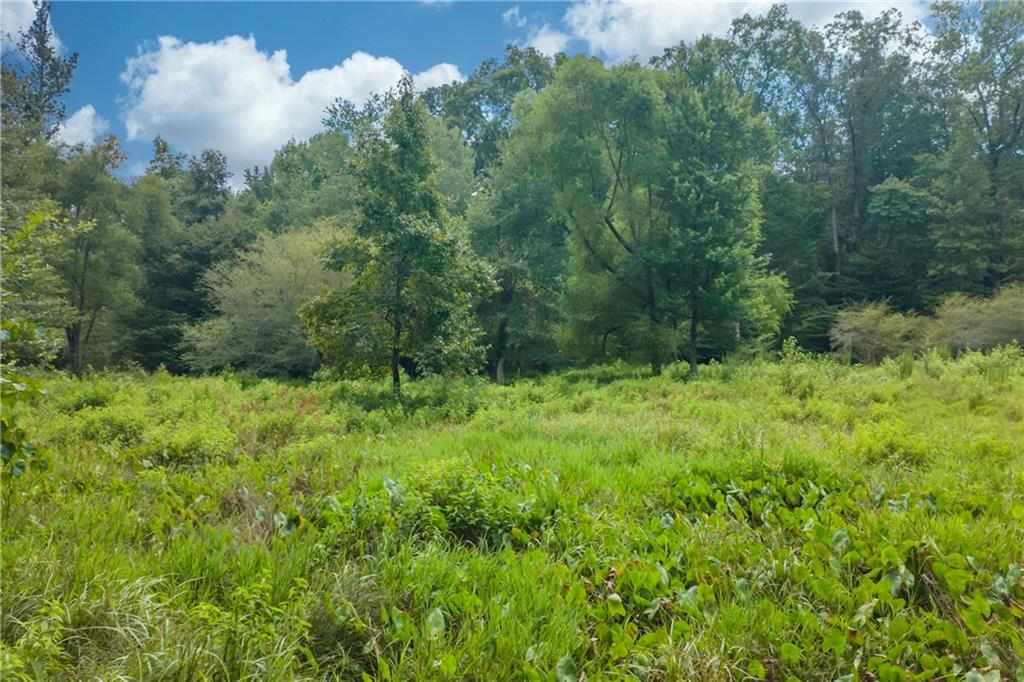 1345 Chandler Road