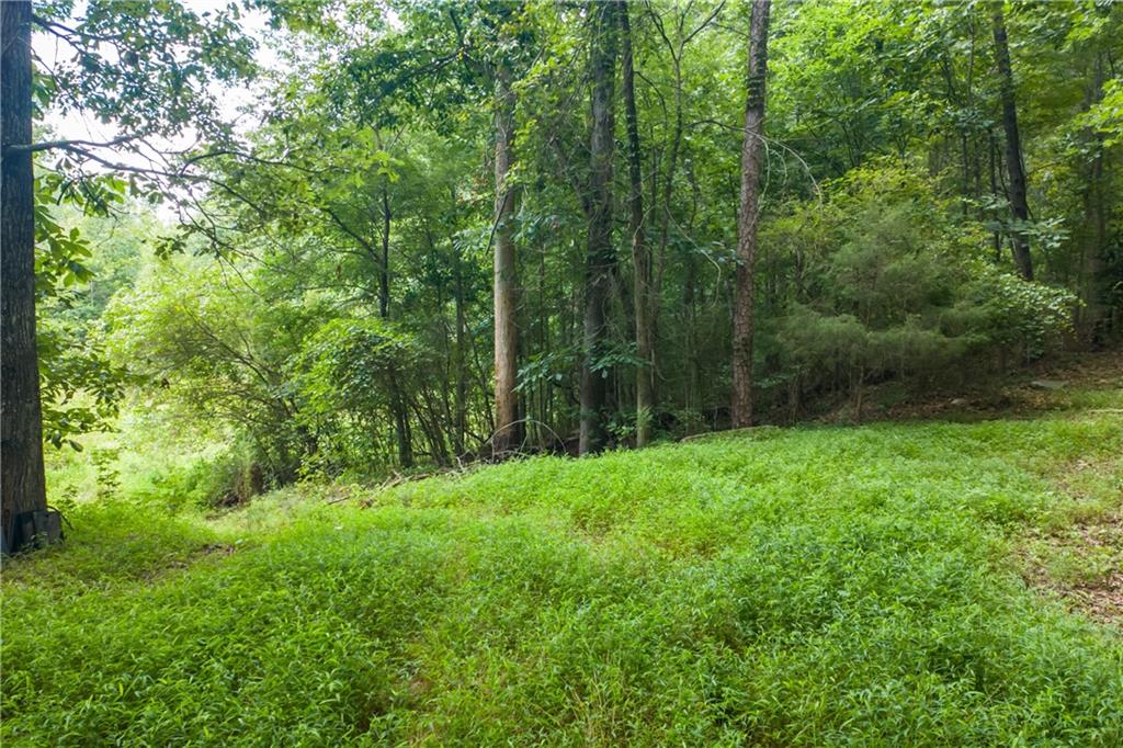 1345 Chandler Road