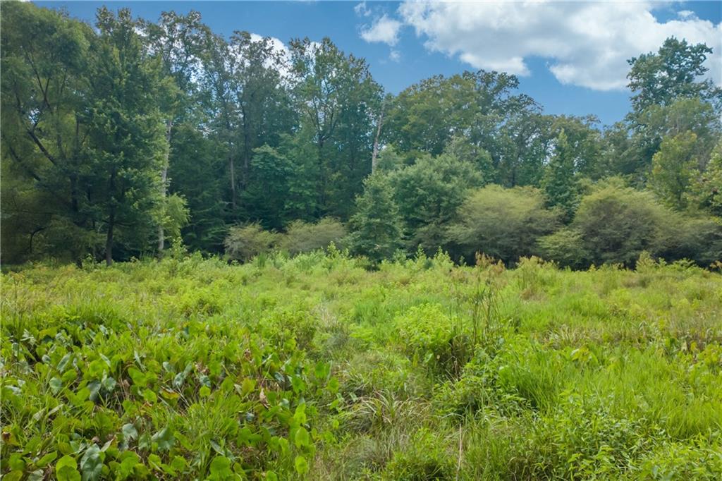 1345 Chandler Road