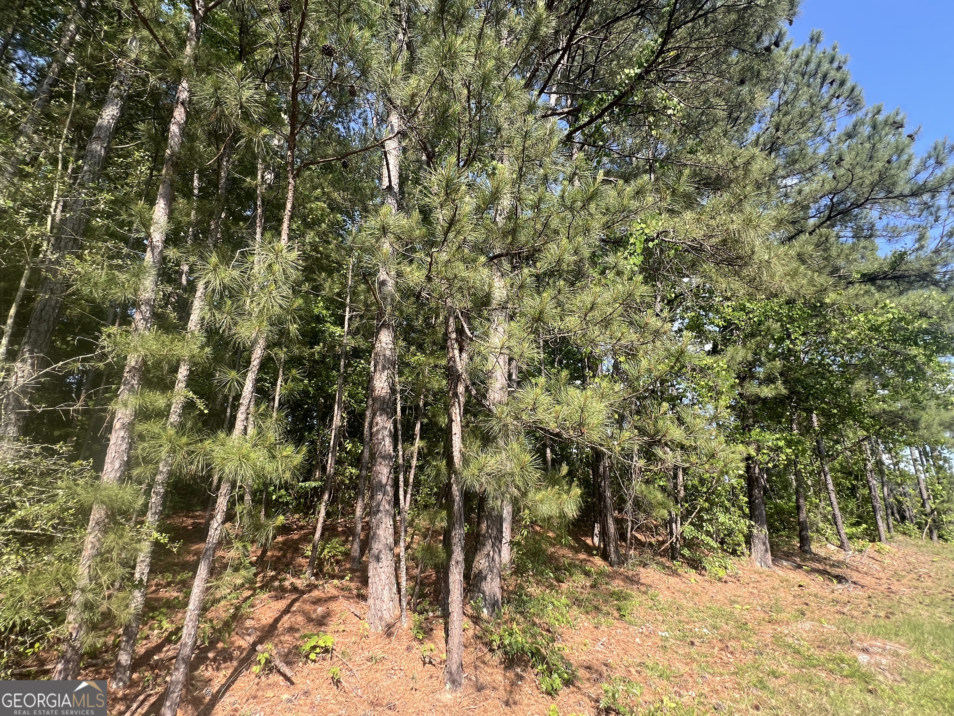 3408 Lost Valley Drive