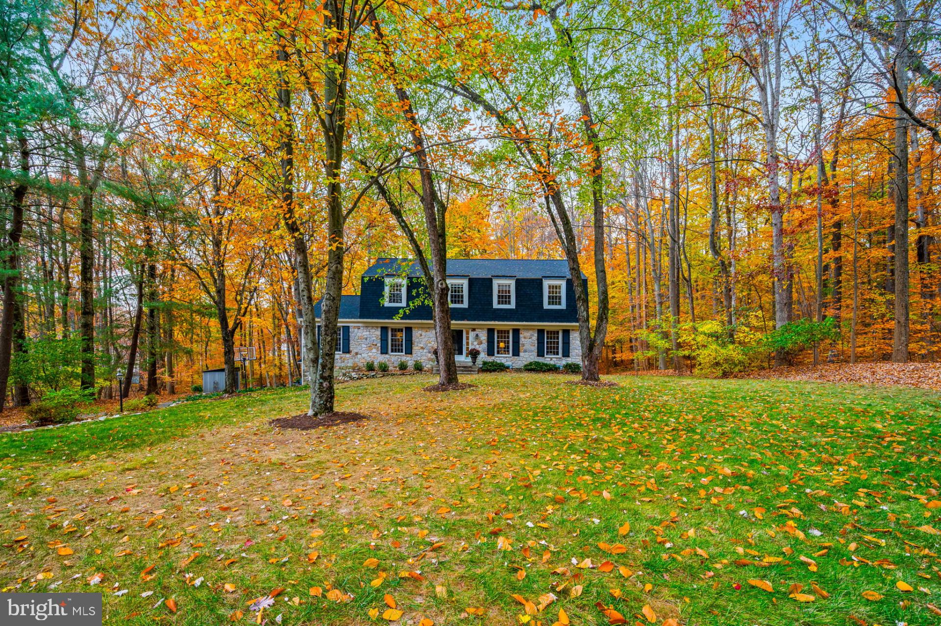 6 Spruce Rd