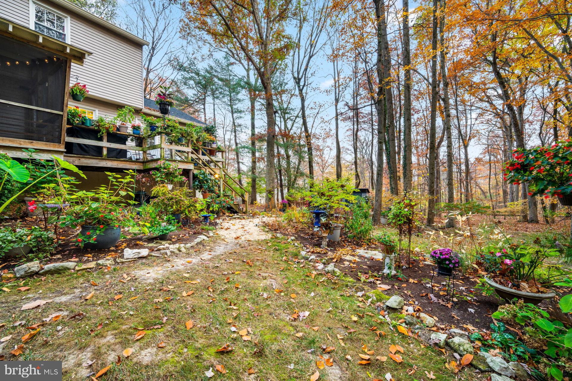 6 Spruce Rd
