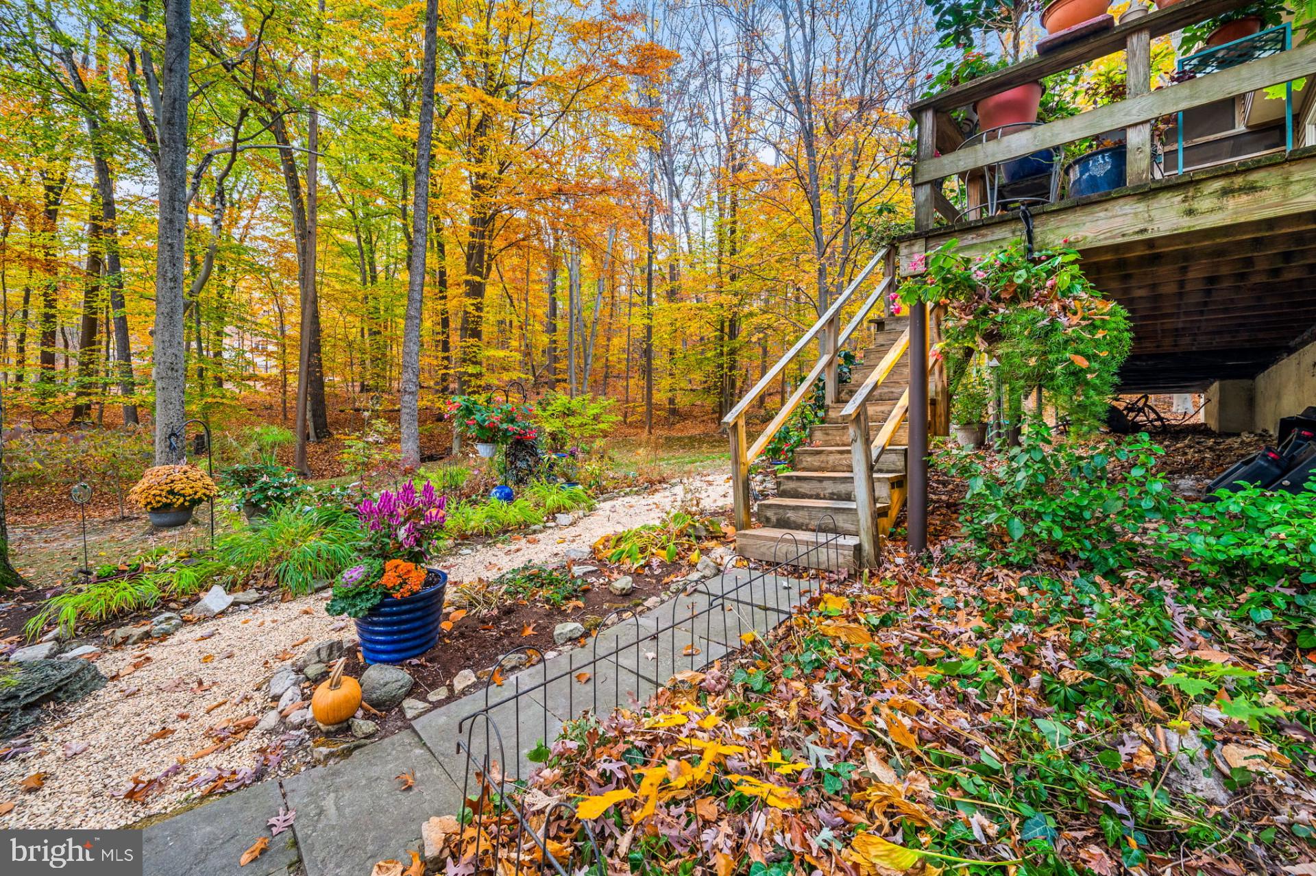 6 Spruce Rd