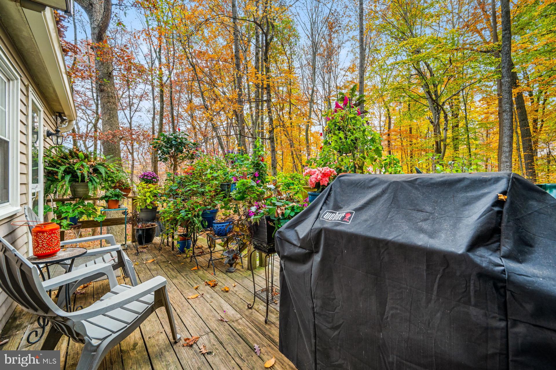 6 Spruce Rd