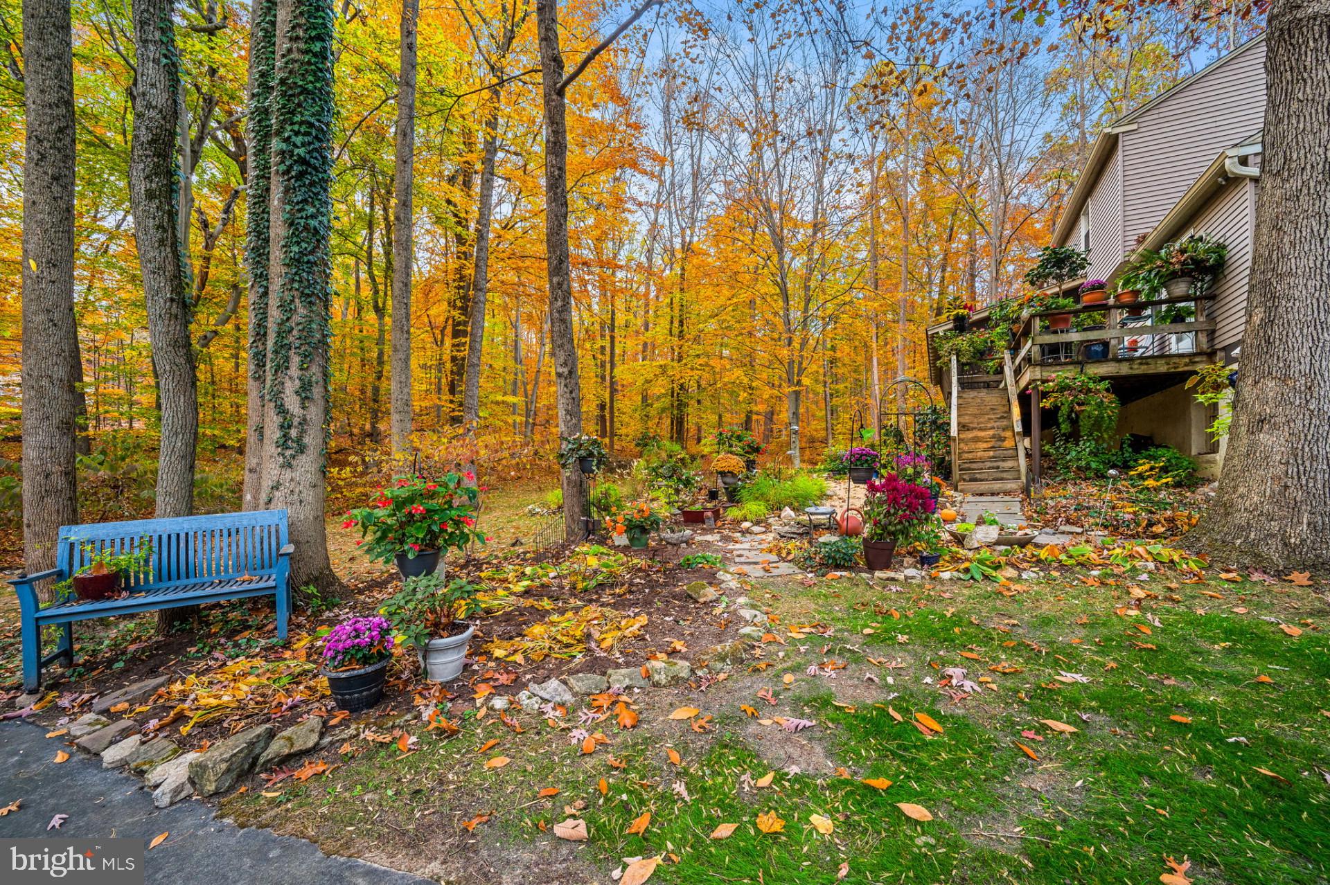 6 Spruce Rd
