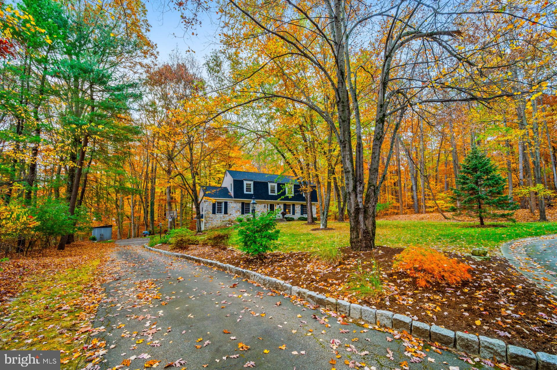 6 Spruce Rd