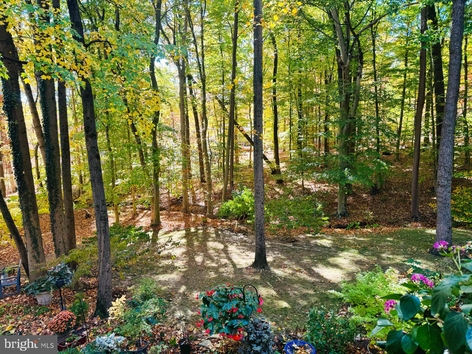 6 Spruce Rd