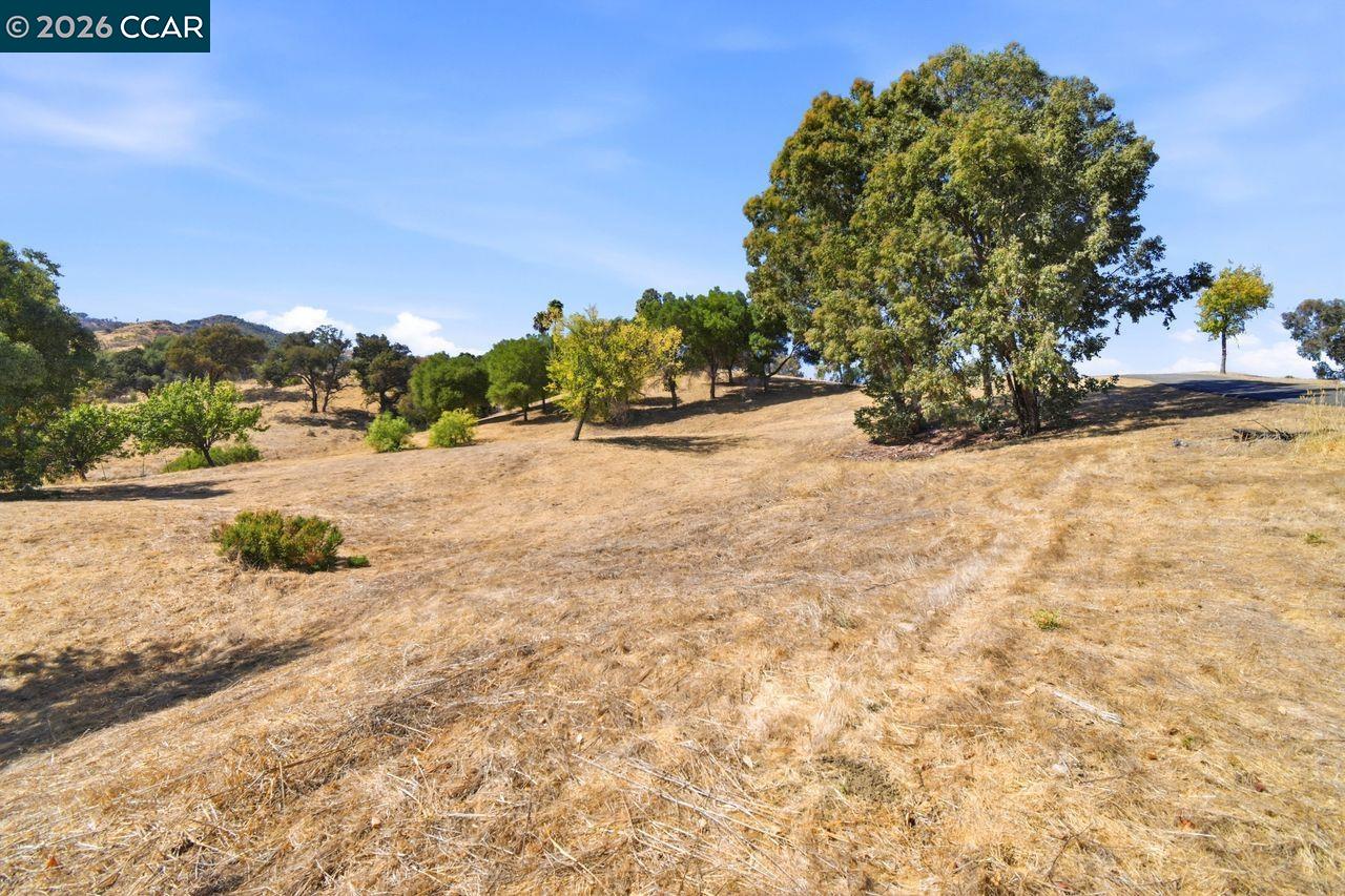 6973 Pleasants Valley Rd