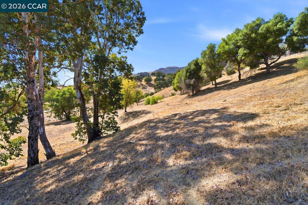 6973 Pleasants Valley Rd