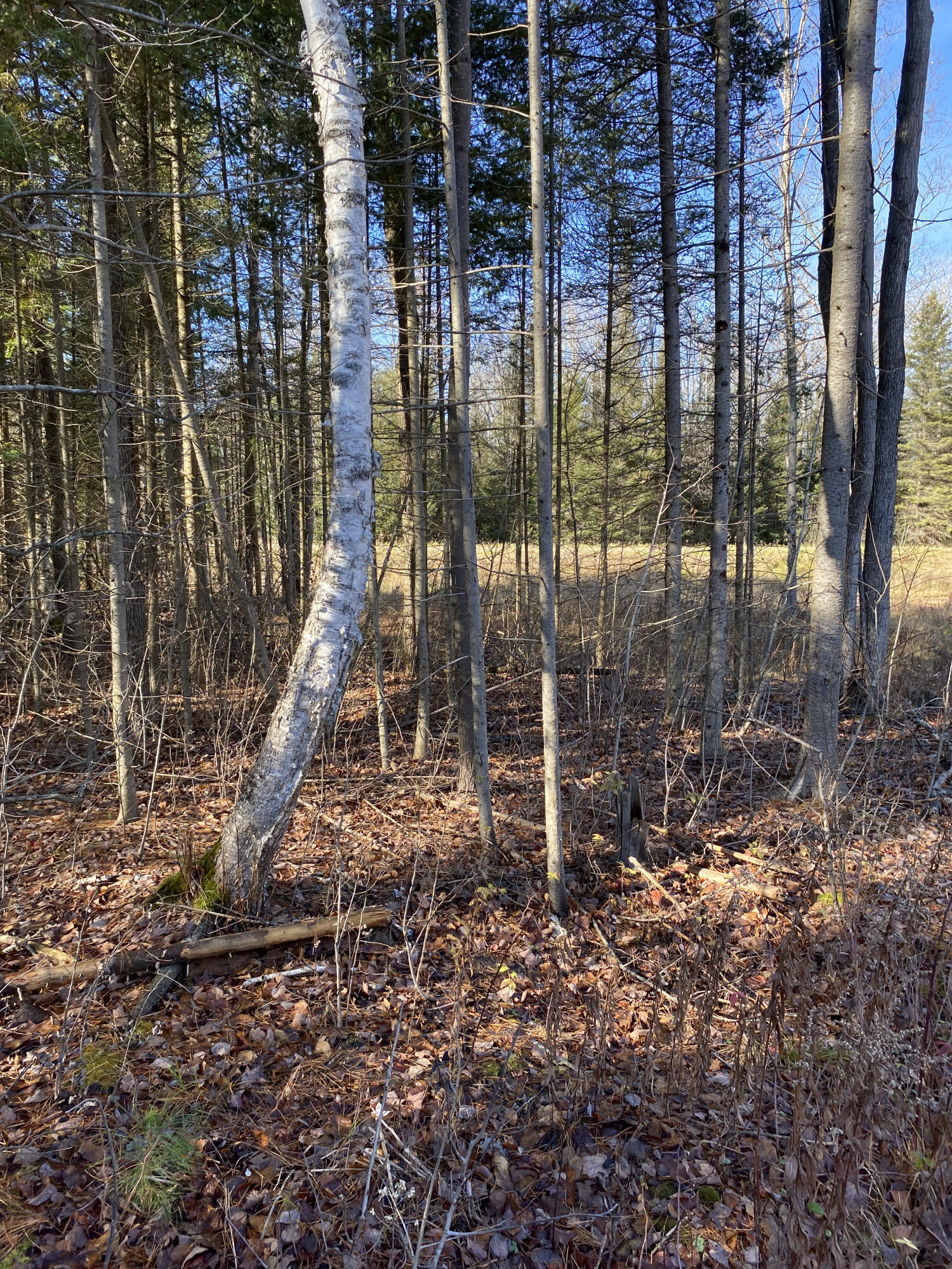 NHN McSwain Road, 2.29 Acres