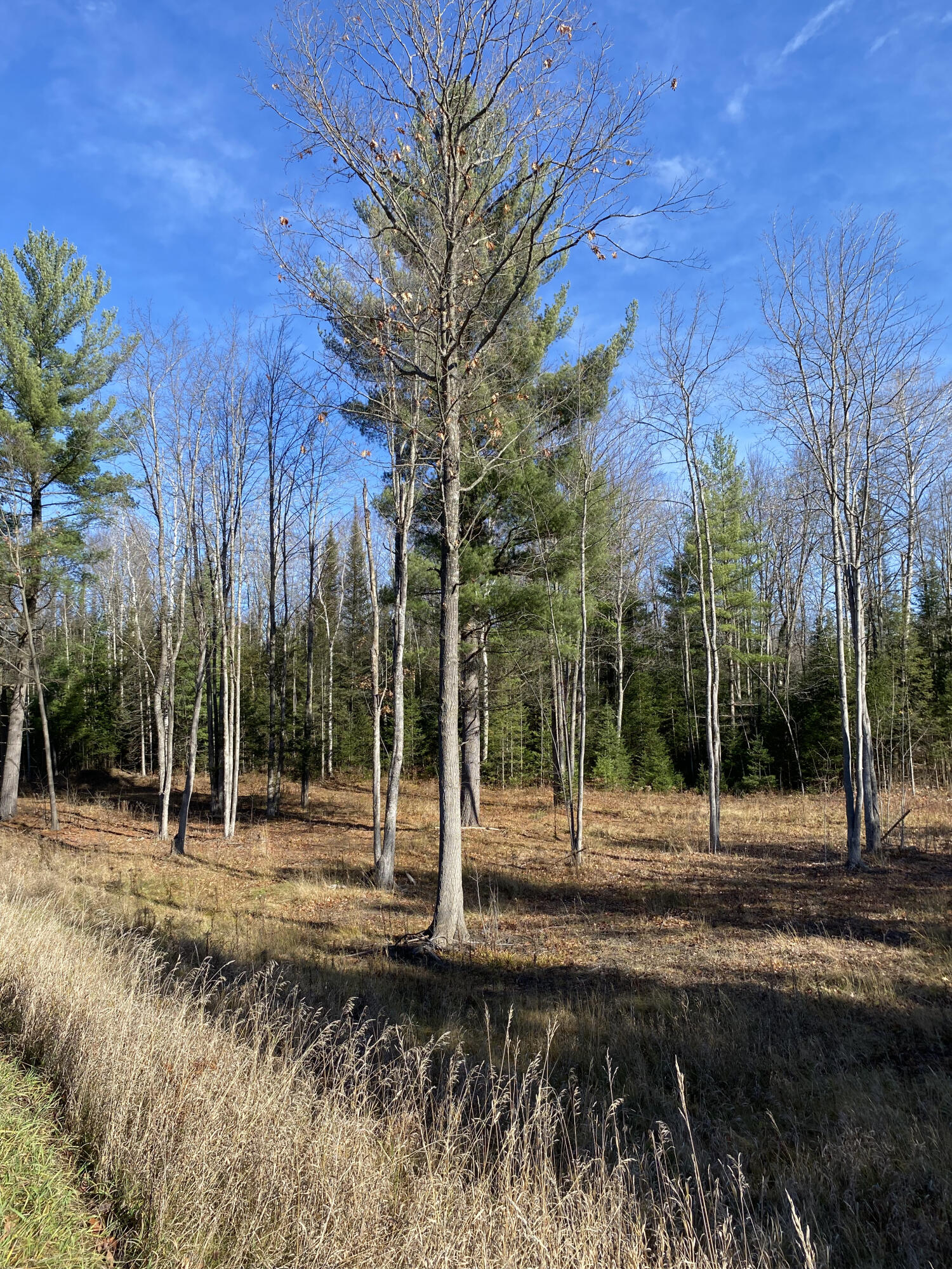 NHN McSwain Road, 2.29 Acres