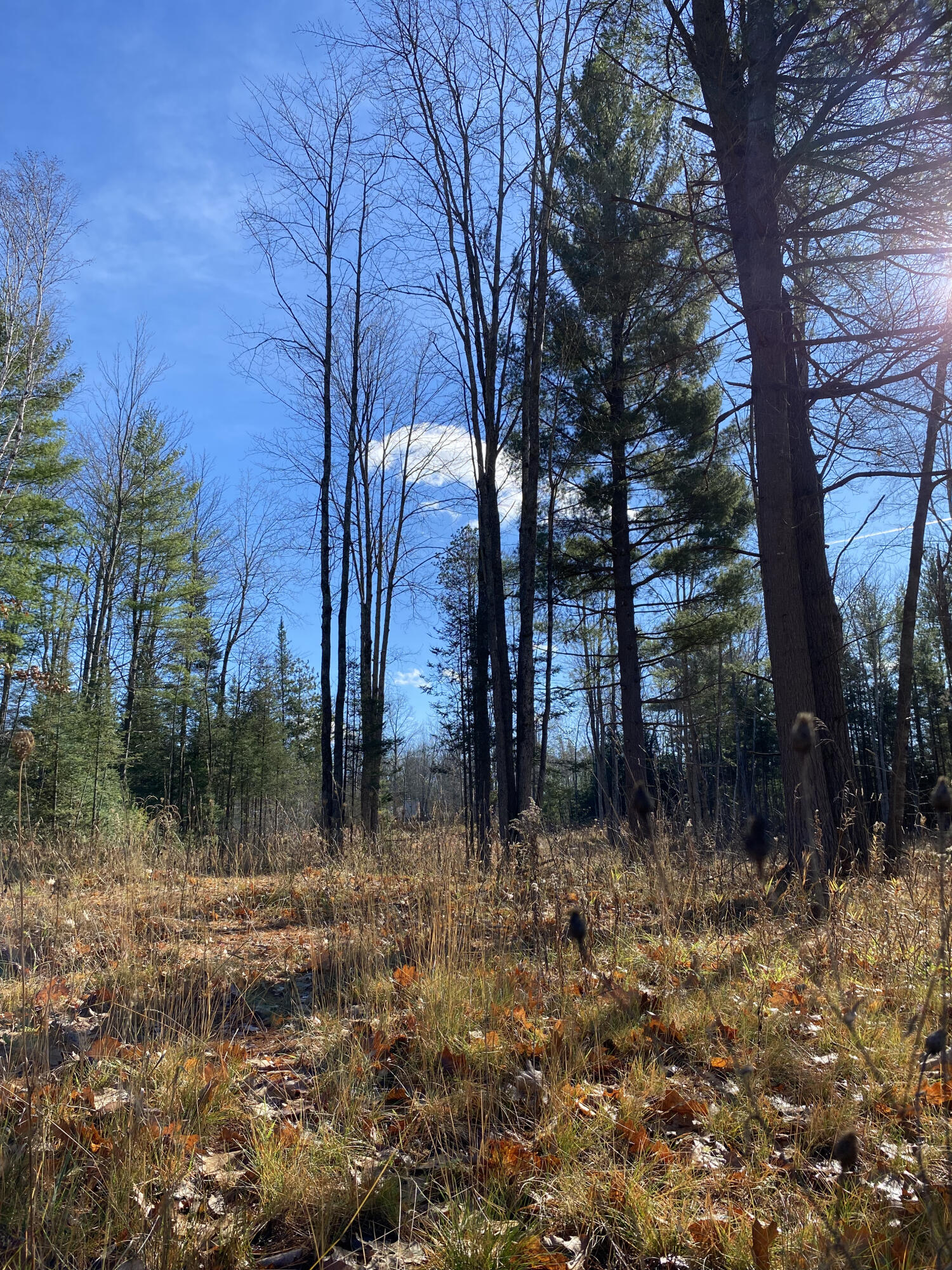 NHN McSwain Road, 2.29 Acres
