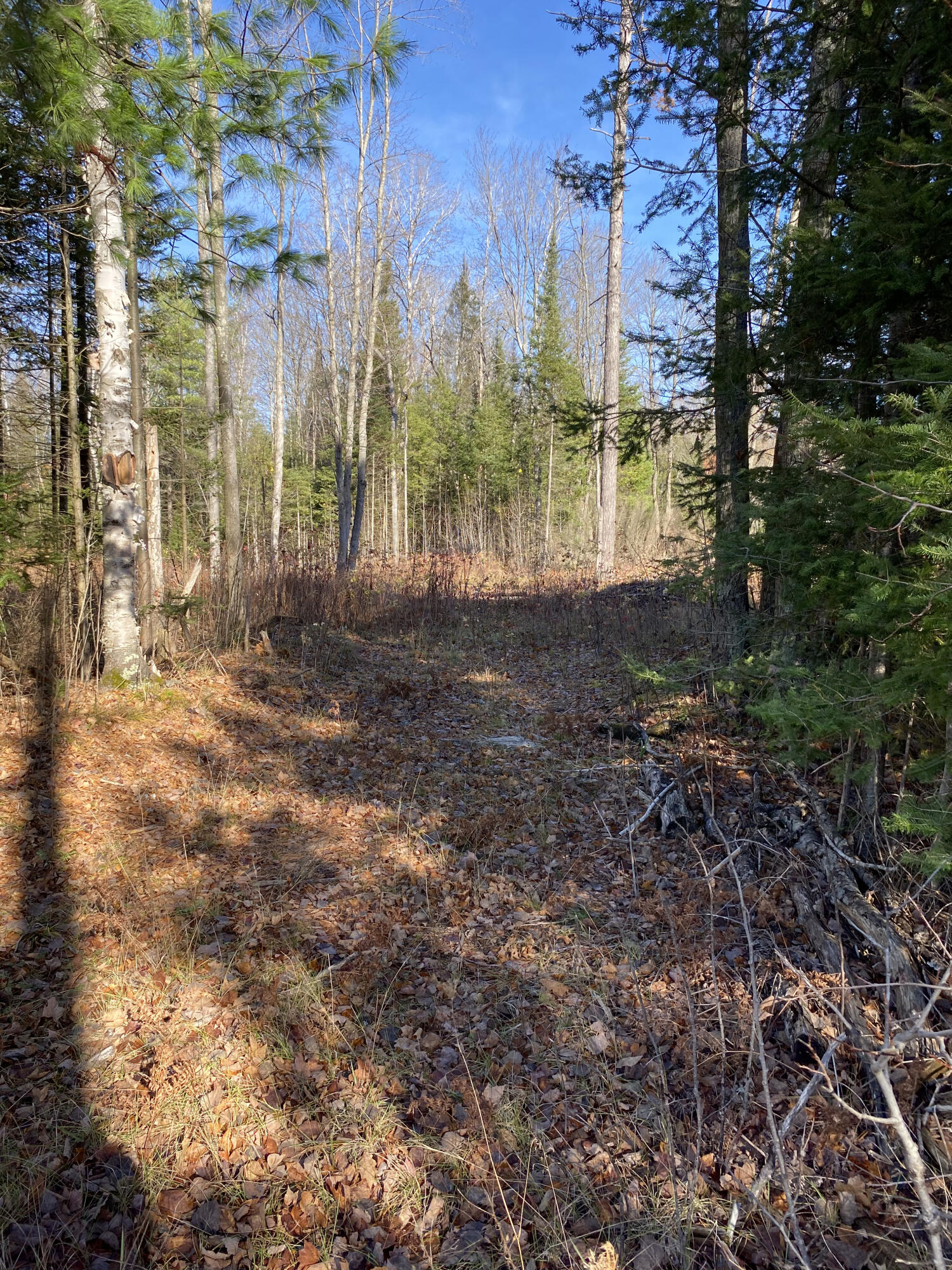 NHN McSwain Road, 2.29 Acres
