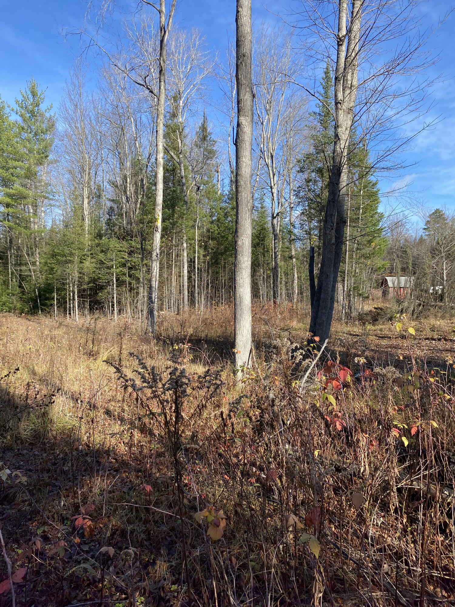 NHN McSwain Road, 2.29 Acres