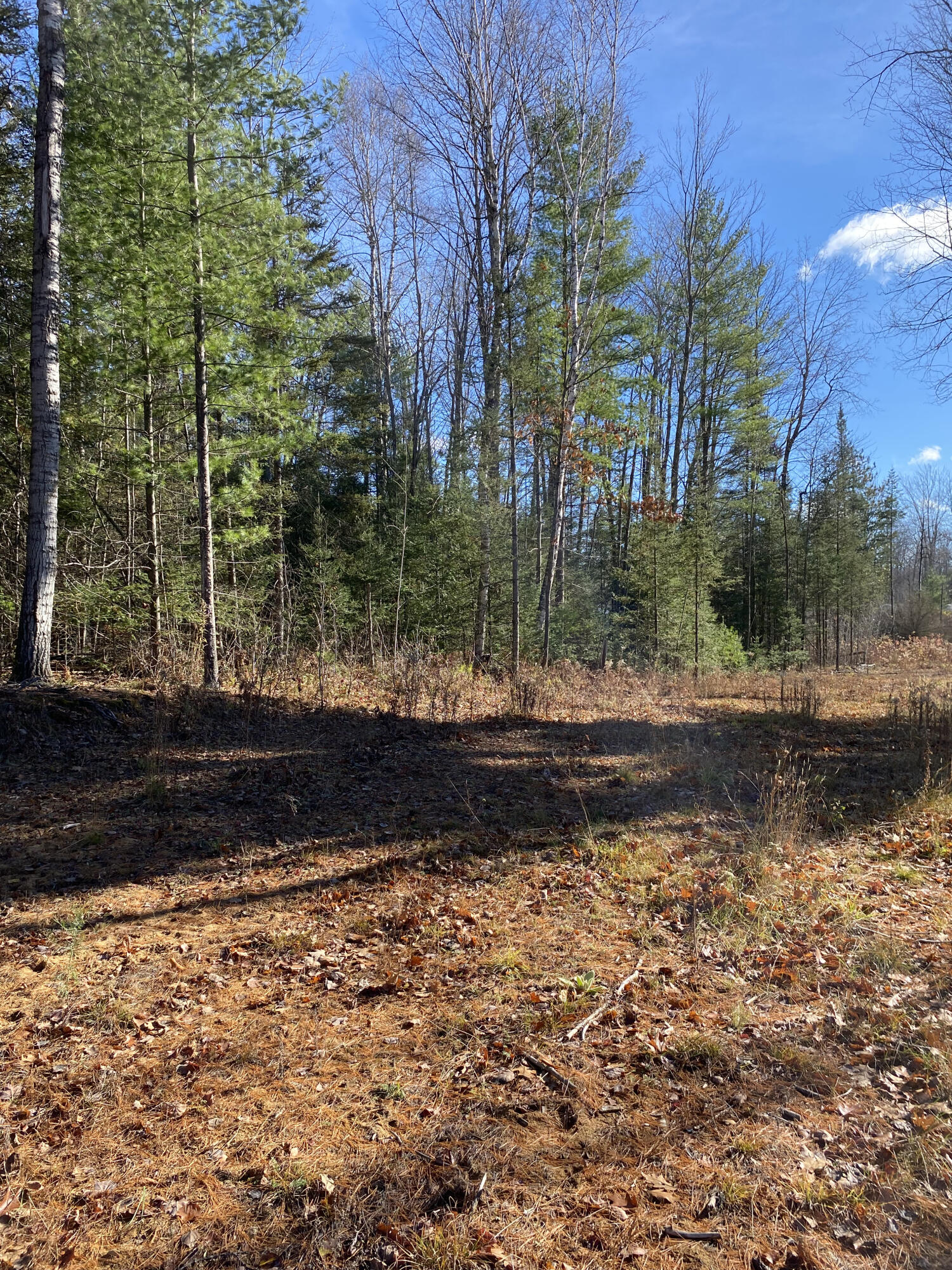NHN McSwain Road, 2.29 Acres