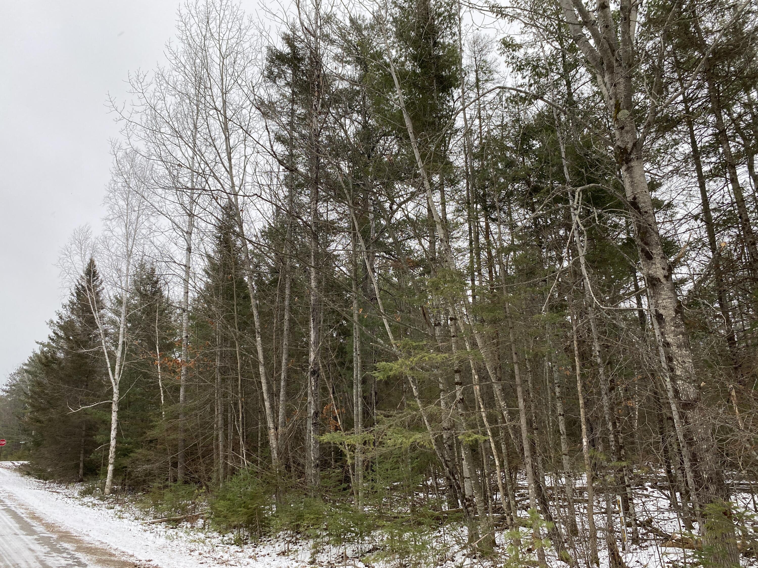 Lot 341 Northland Heights Drive, 122-211-000-341-00