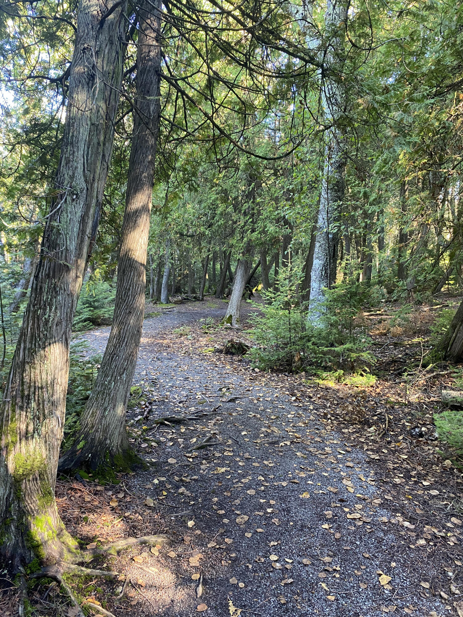 Lot 341 Northland Heights Drive, 122-211-000-341-00