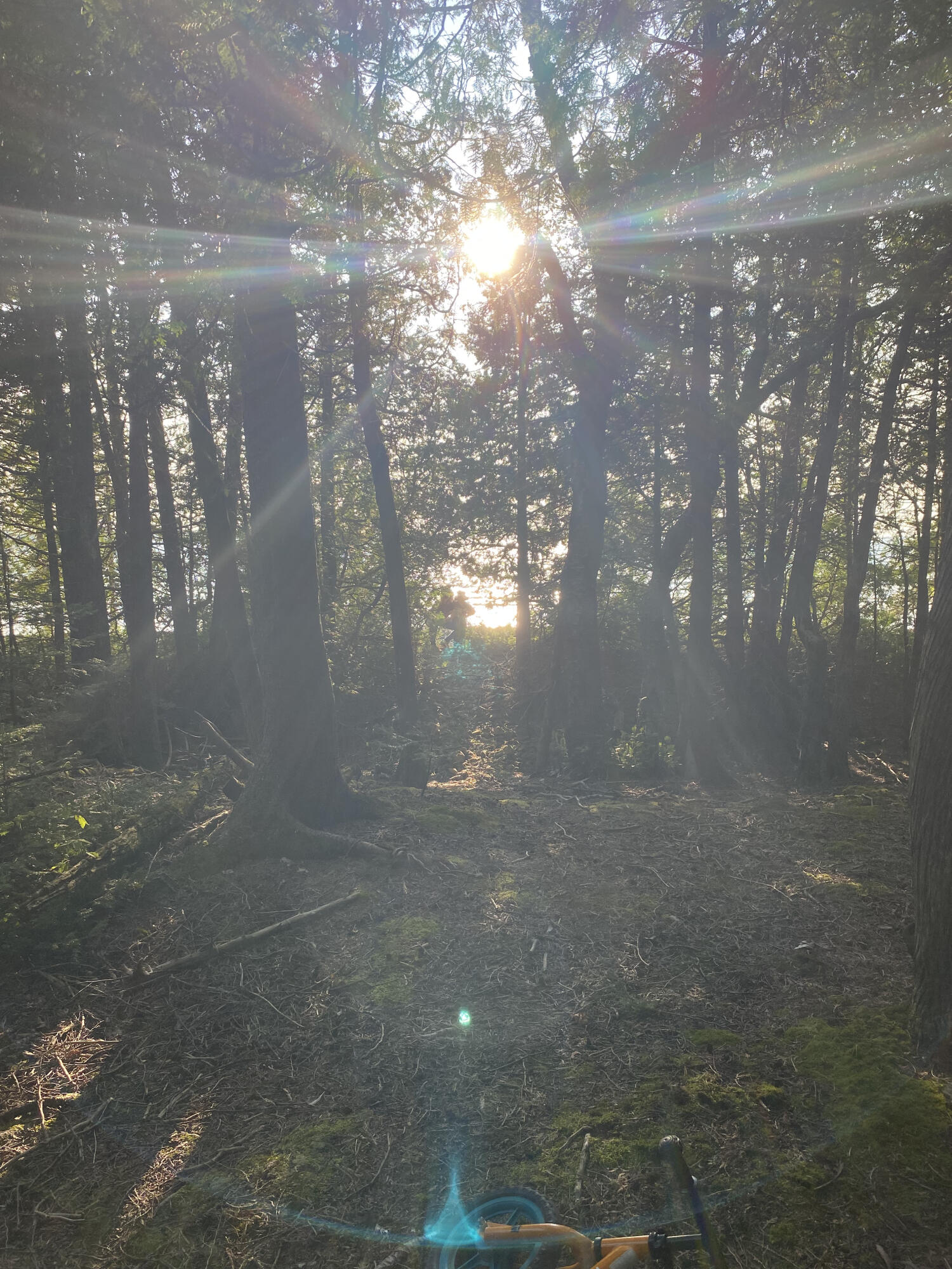 Lot 341 Northland Heights Drive, 122-211-000-341-00