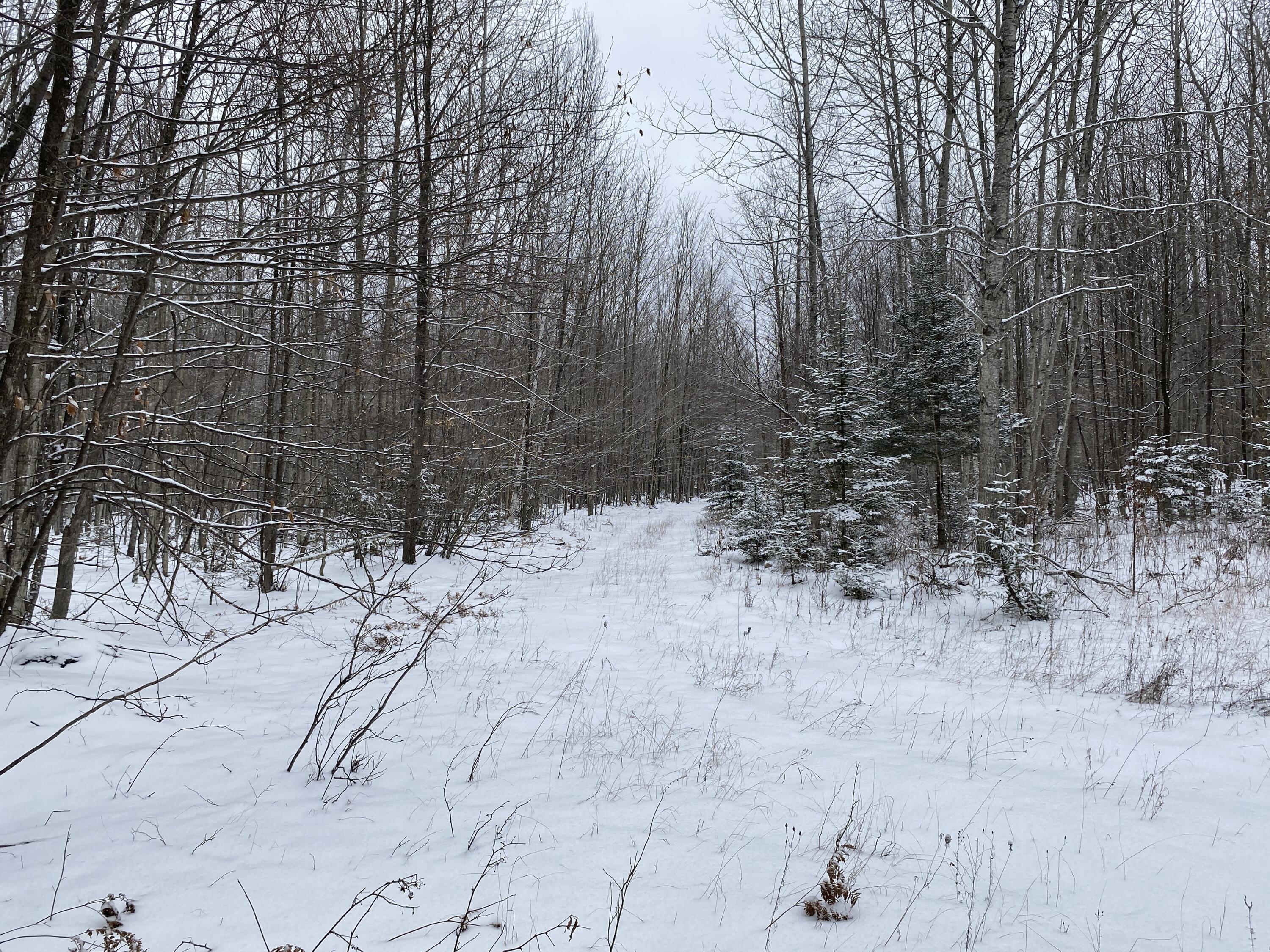 Peters Road, 40 Acres