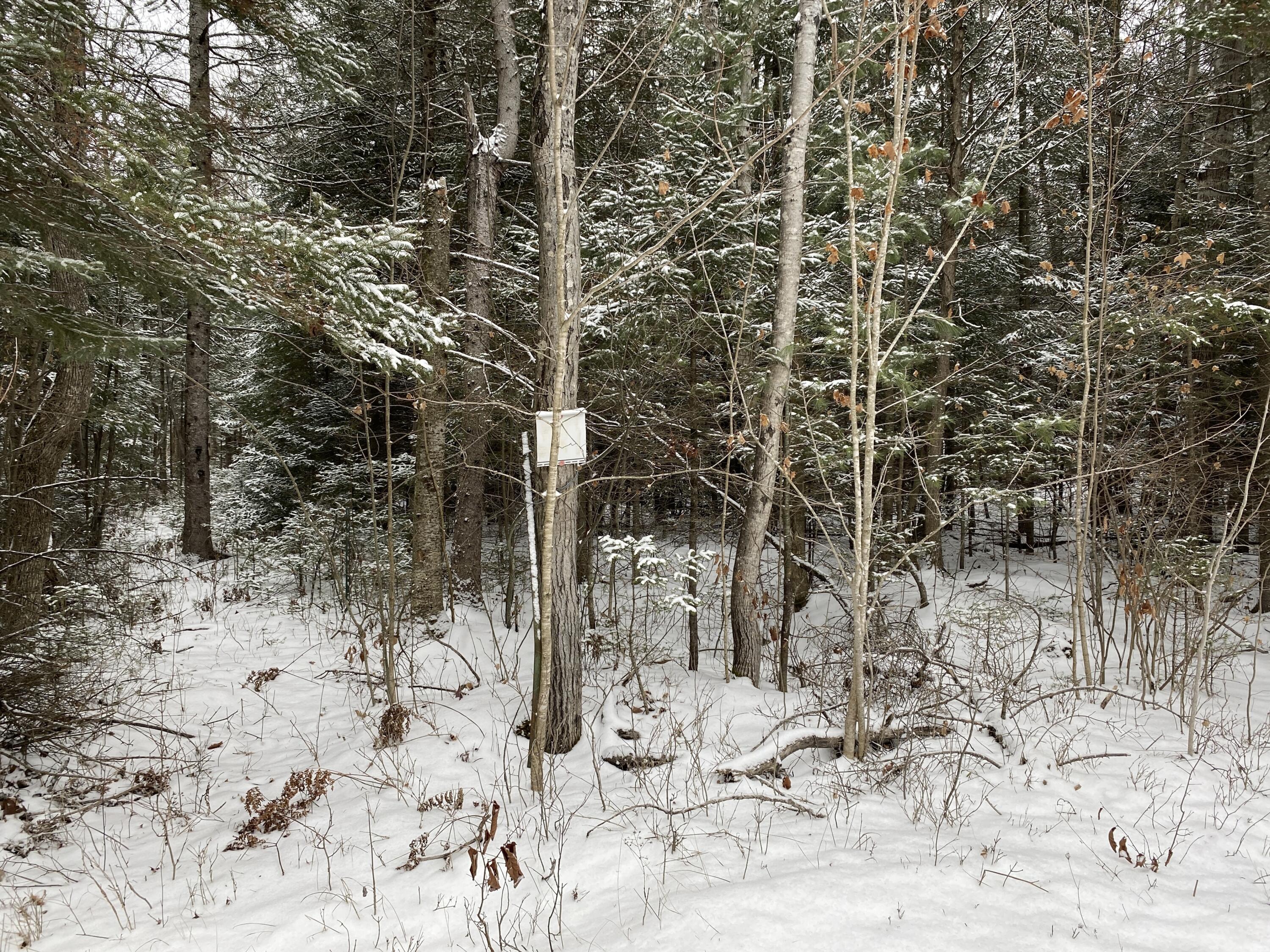 Peters Road, 40 Acres