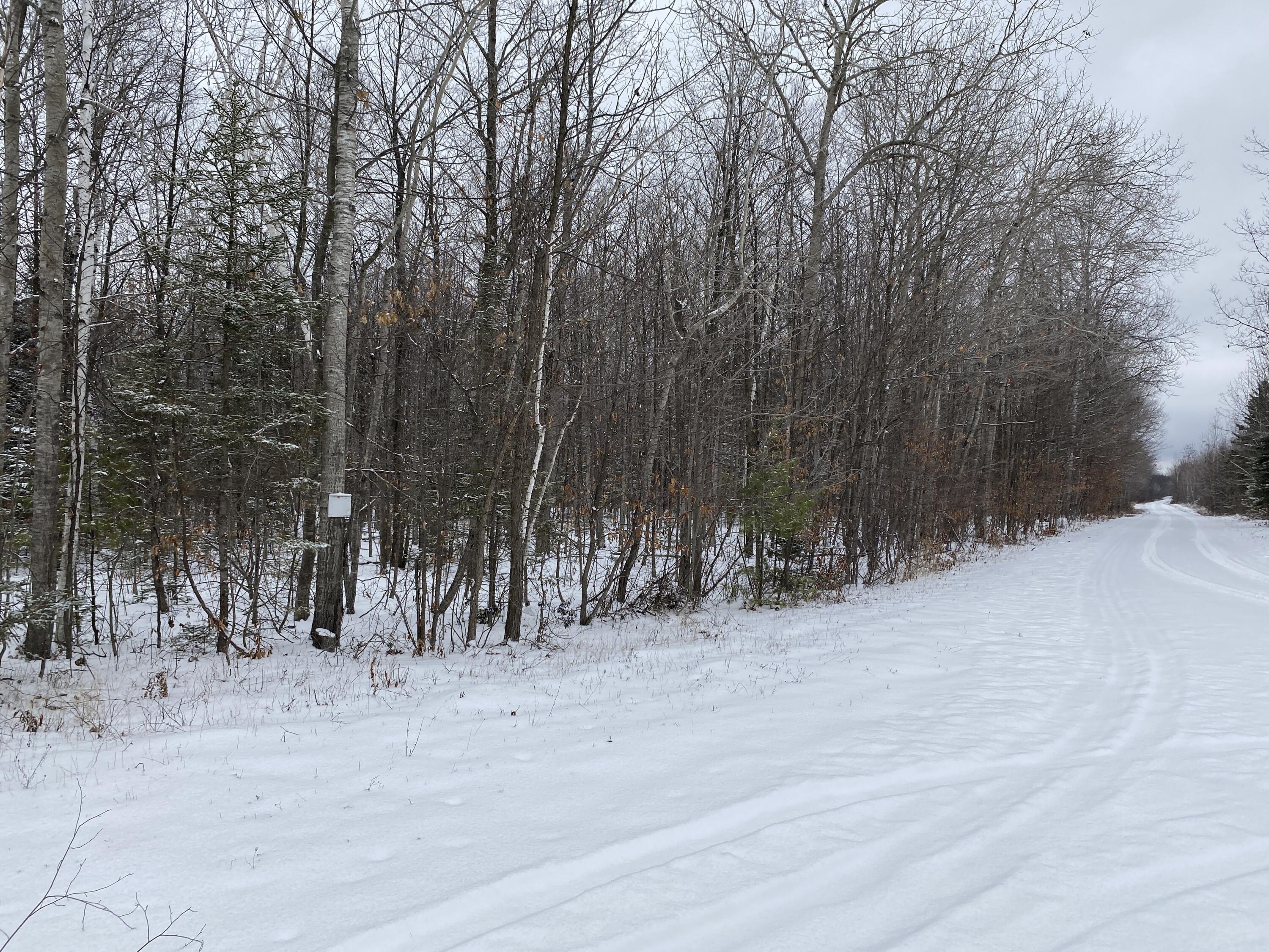 Peters Road, 40 Acres