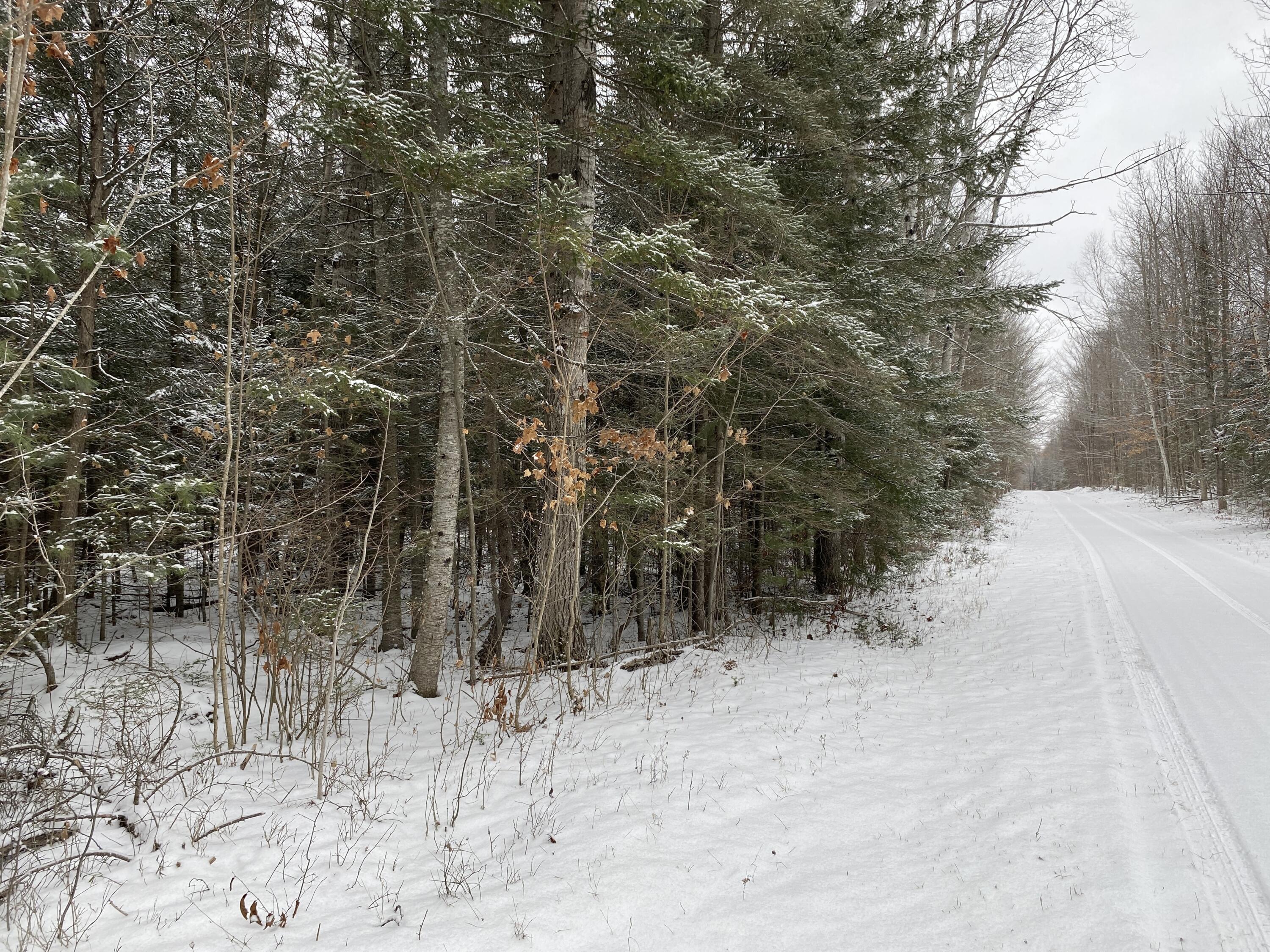Peters Road, 40 Acres