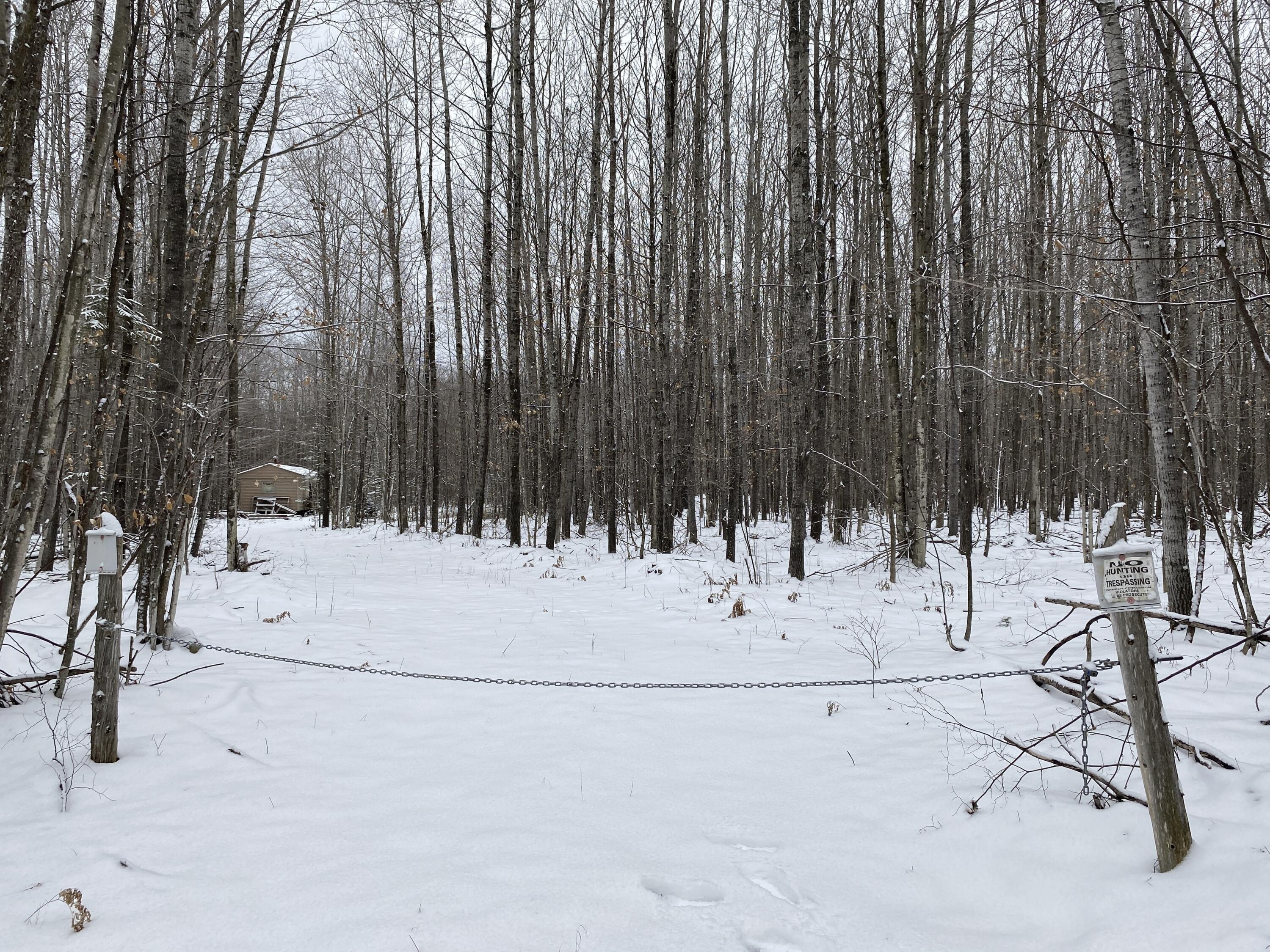 Peters Road, 40 Acres