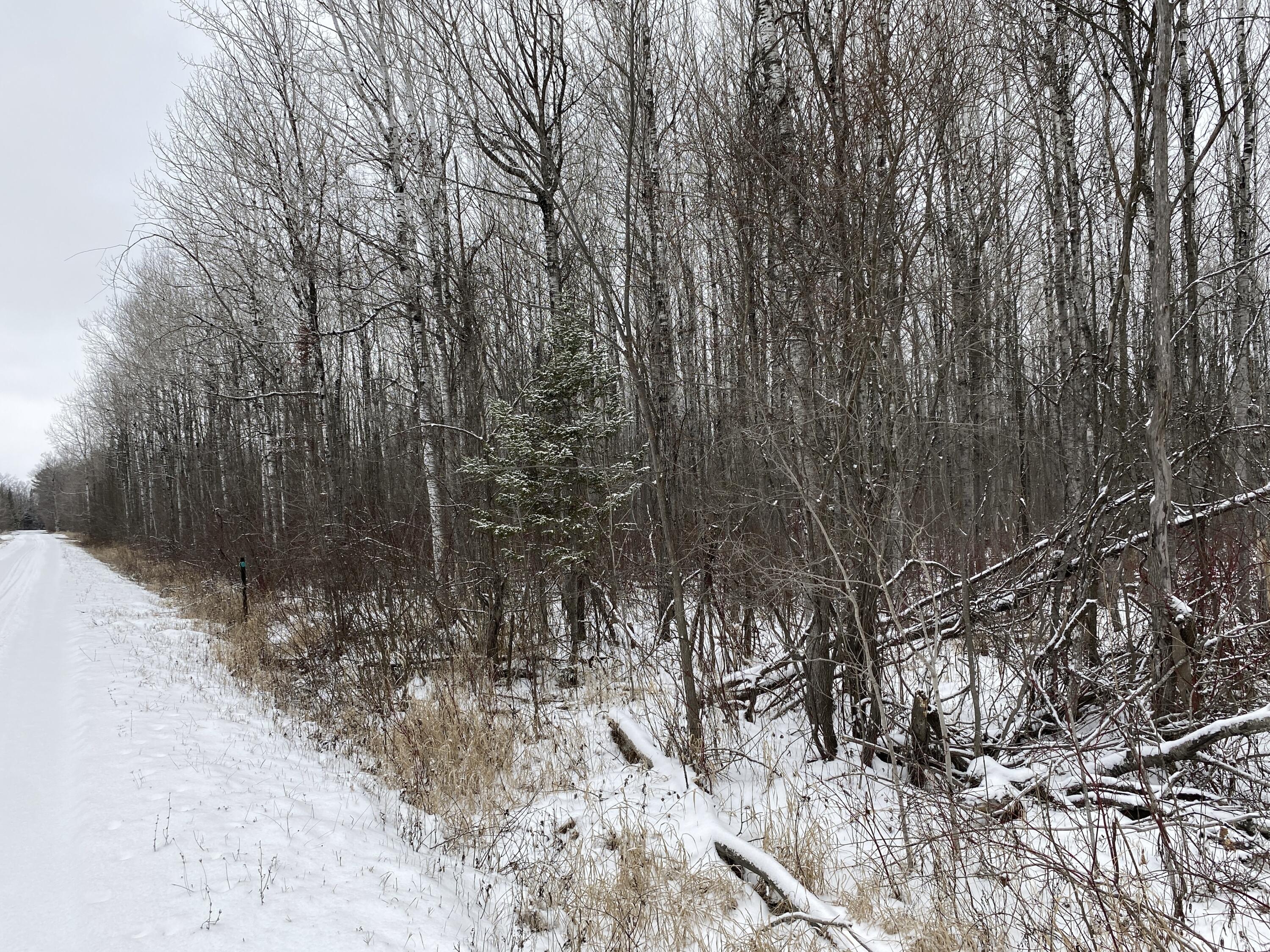 Peters Road, 40 Acres