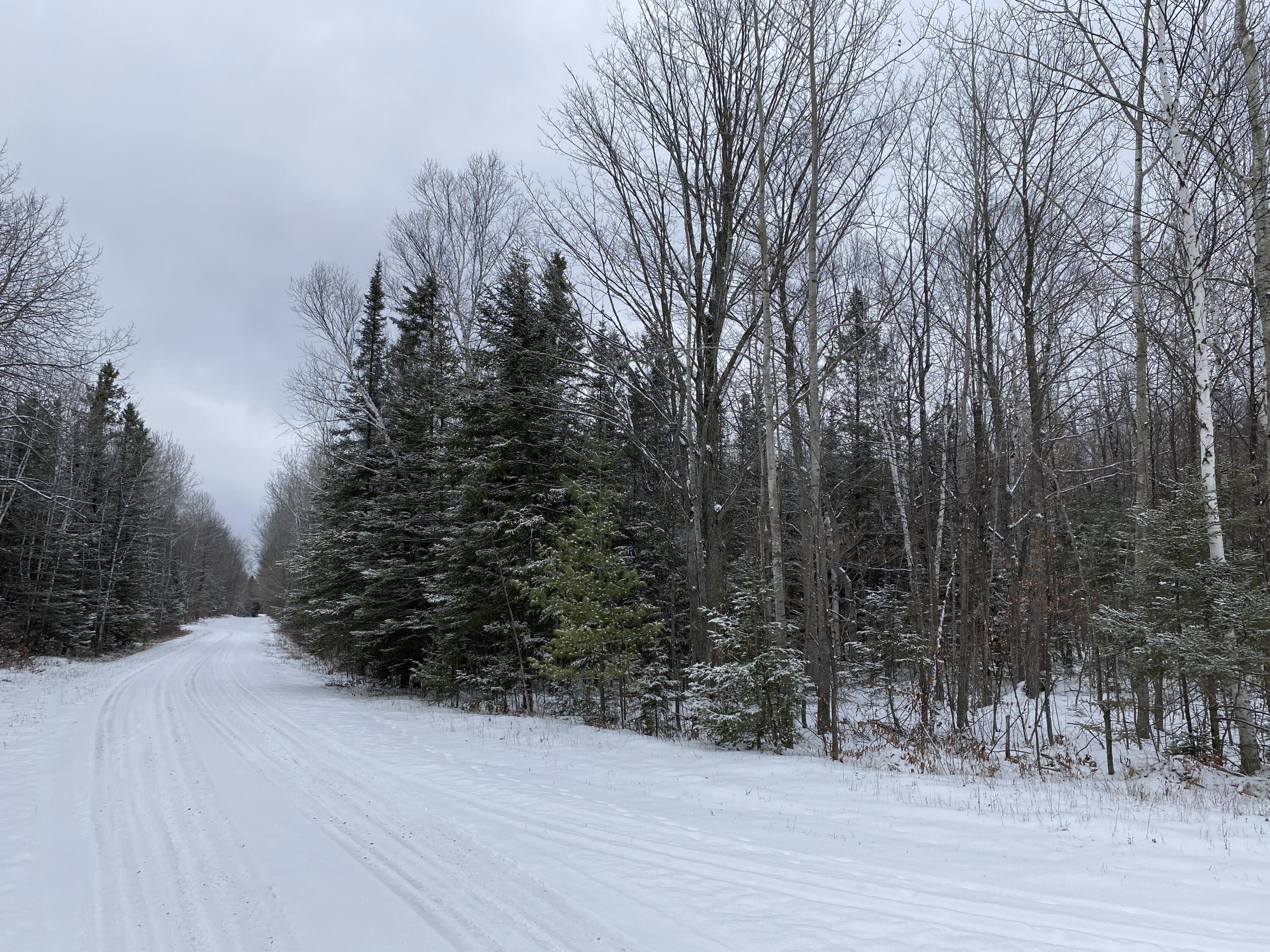 Peters Road, 40 Acres