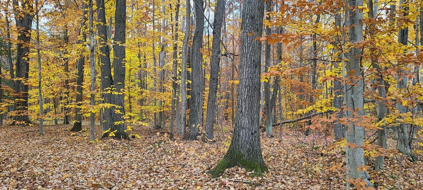 Lakeside Trail, 10.82 Acres