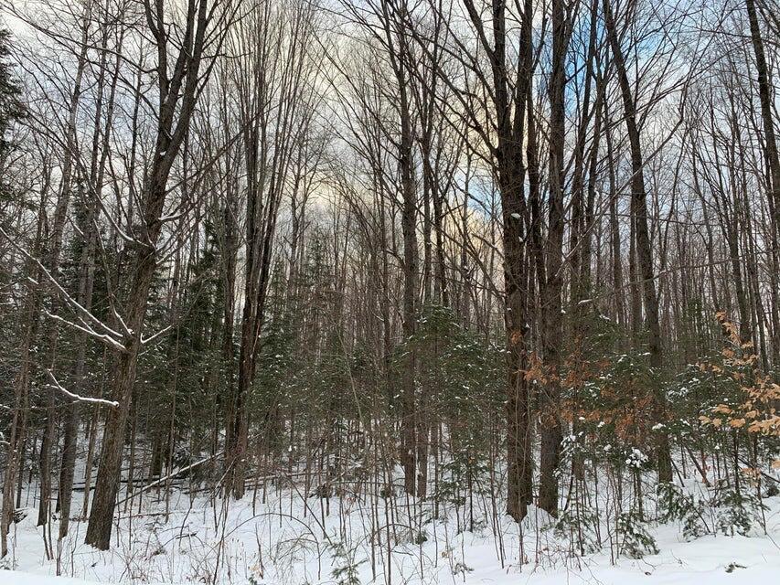 Lakeside Trail, 10.82 Acres