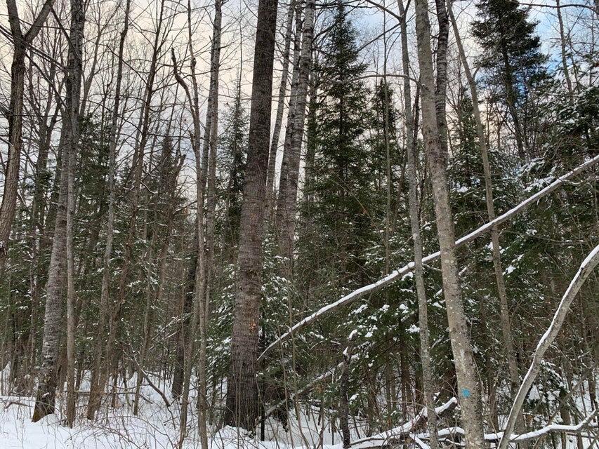 Lakeside Trail, 10.82 Acres