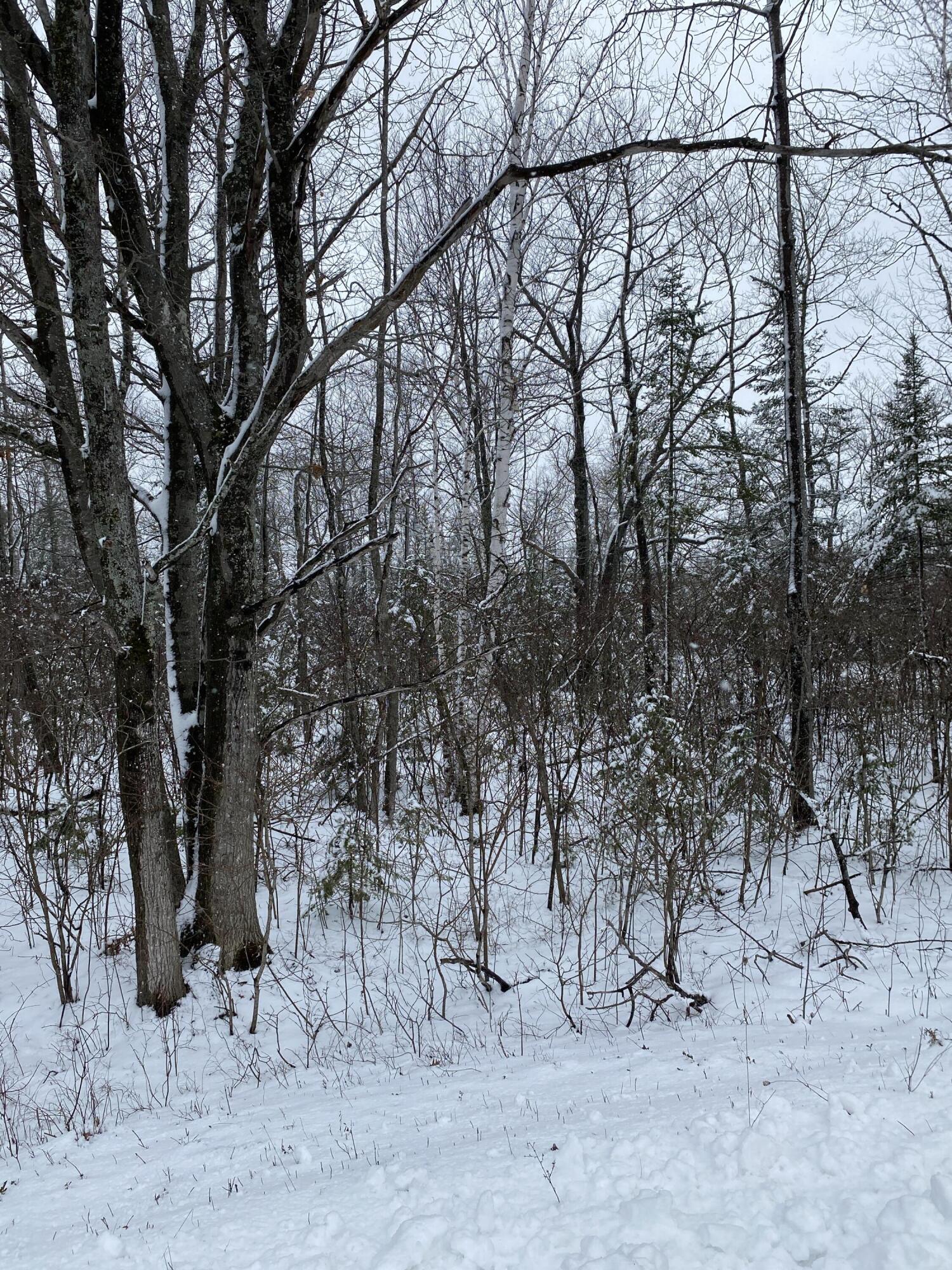 Highland Pines Road, 10 Acres