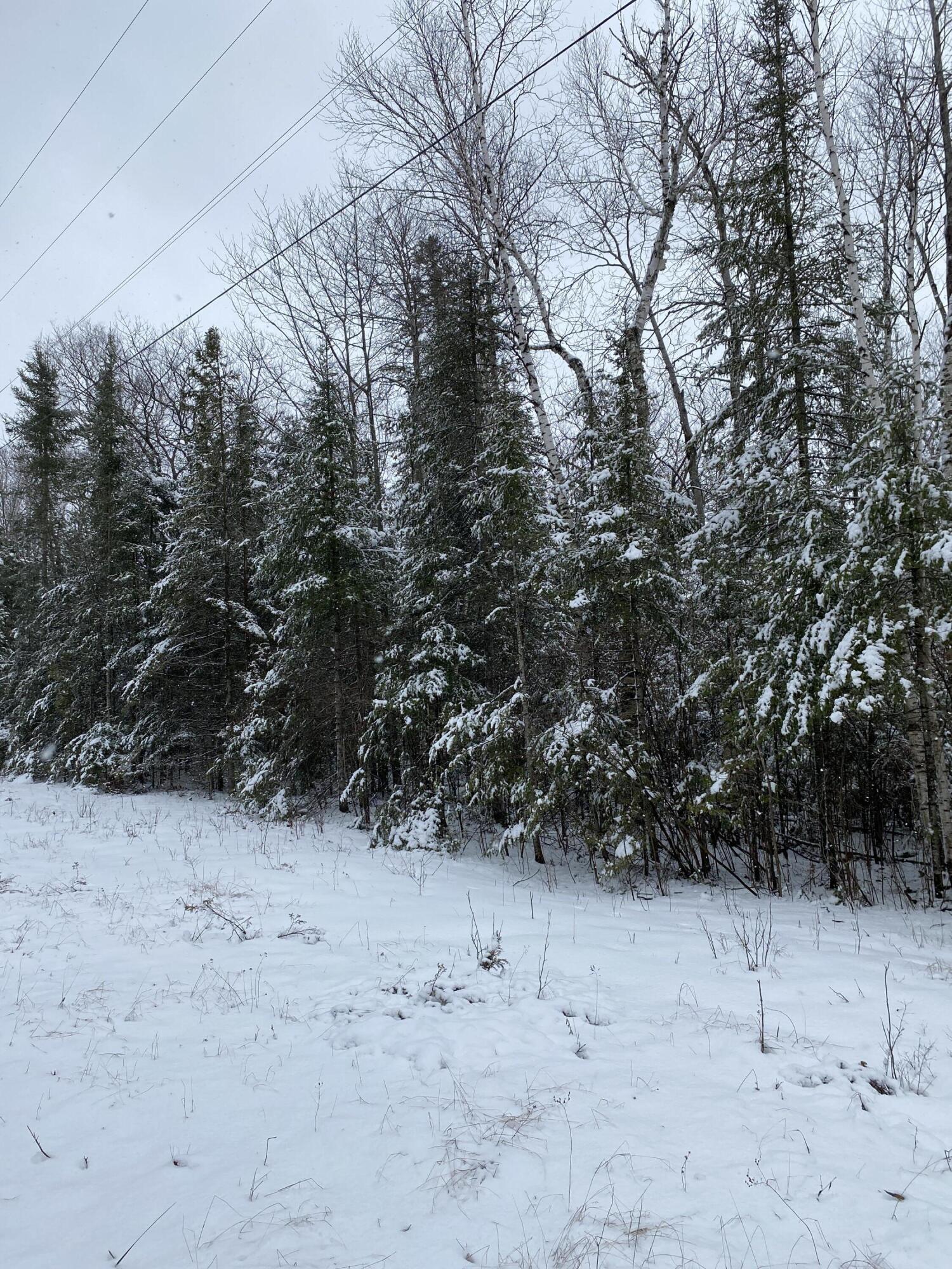 Highland Pines Road, 10 Acres