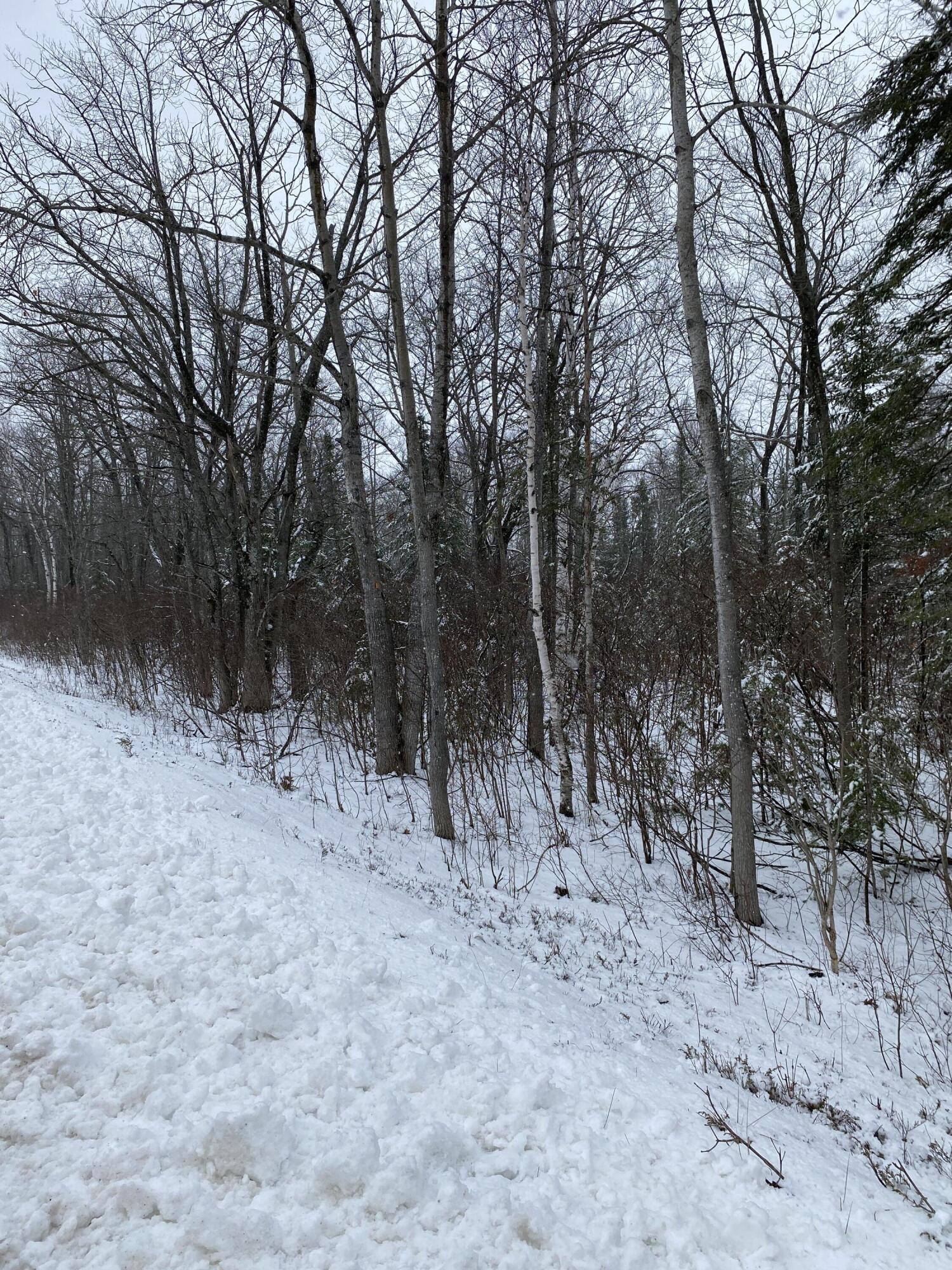 Highland Pines Road, 10 Acres