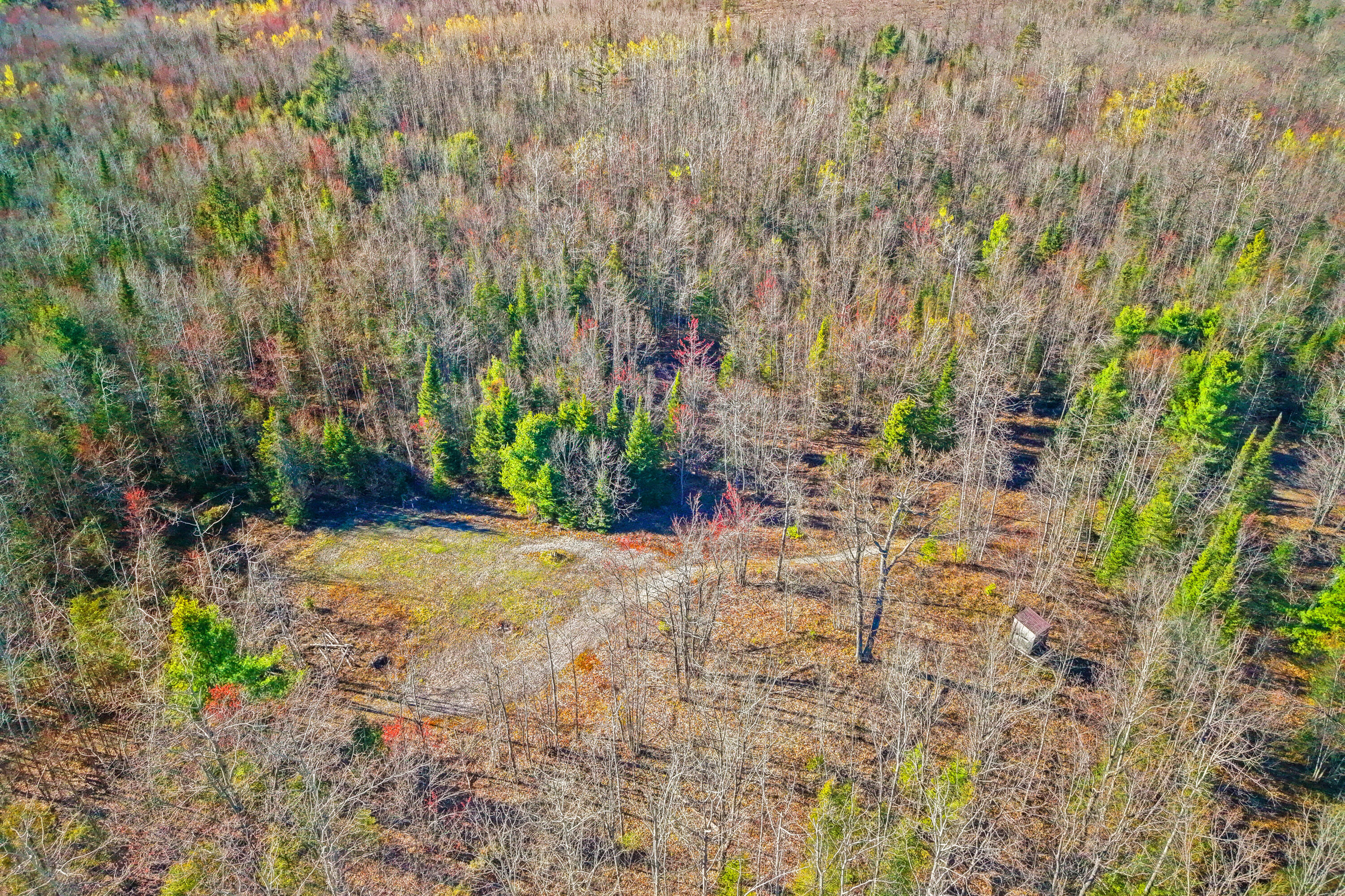 10741 Big Cut Highway