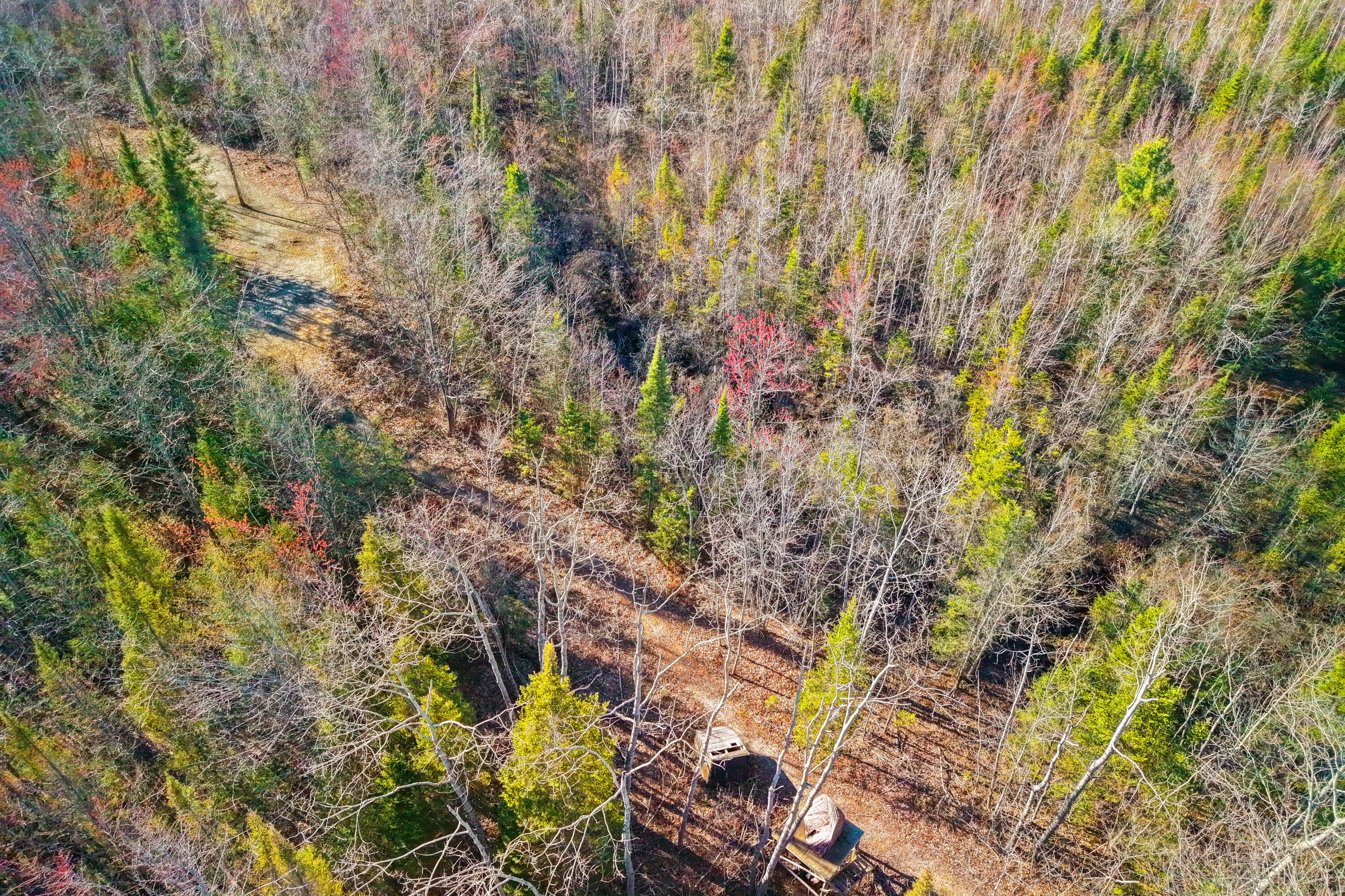 10741 Big Cut Highway