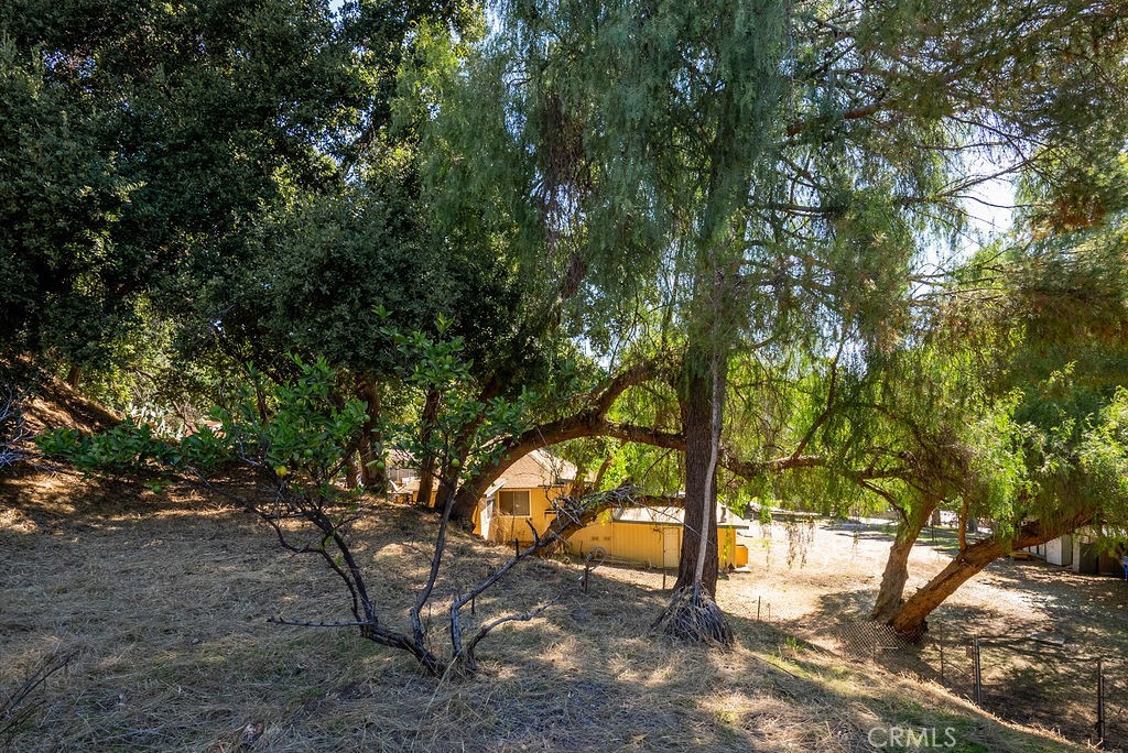 981 Glencoe Heights Drive