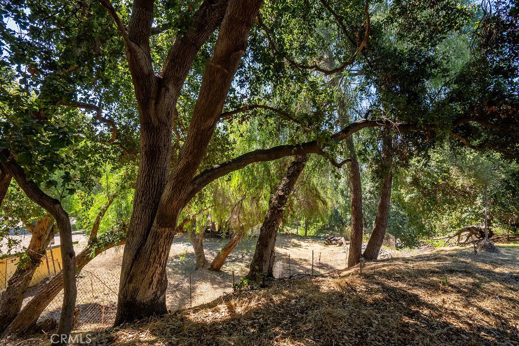 981 Glencoe Heights Drive