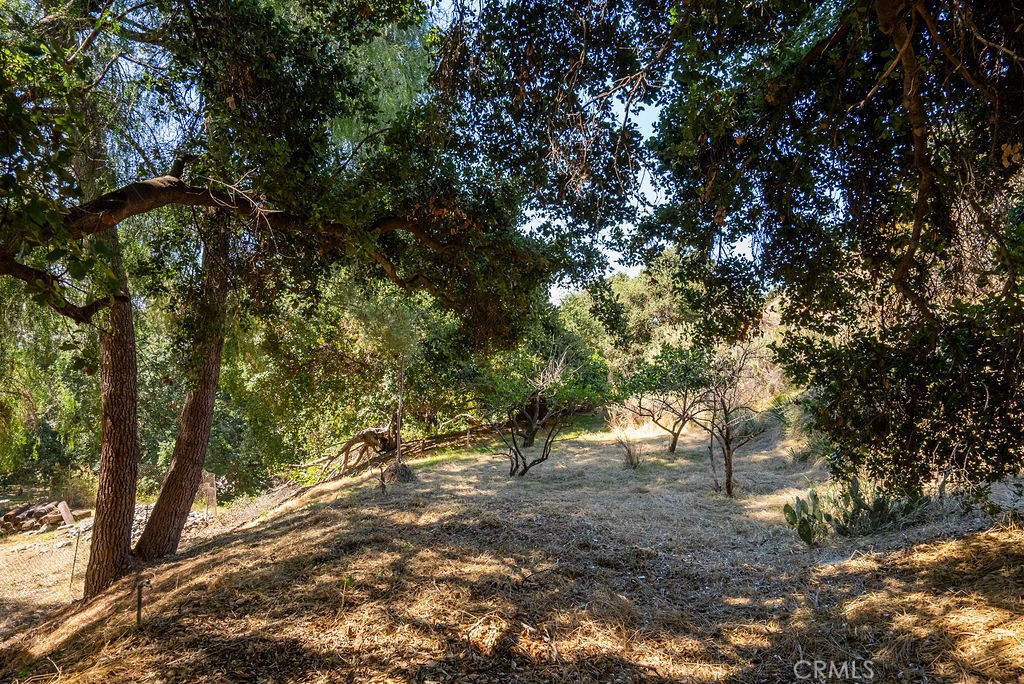 981 Glencoe Heights Drive