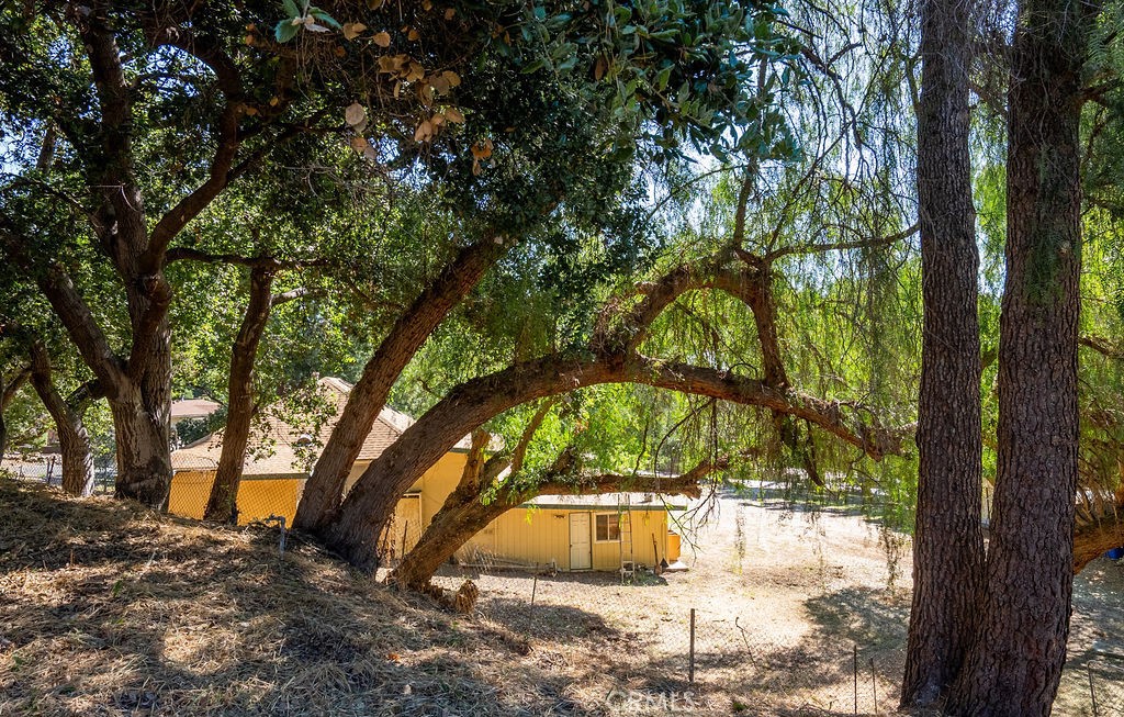 981 Glencoe Heights Drive