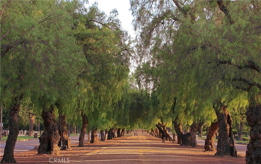 327 S Euclid Avenue B