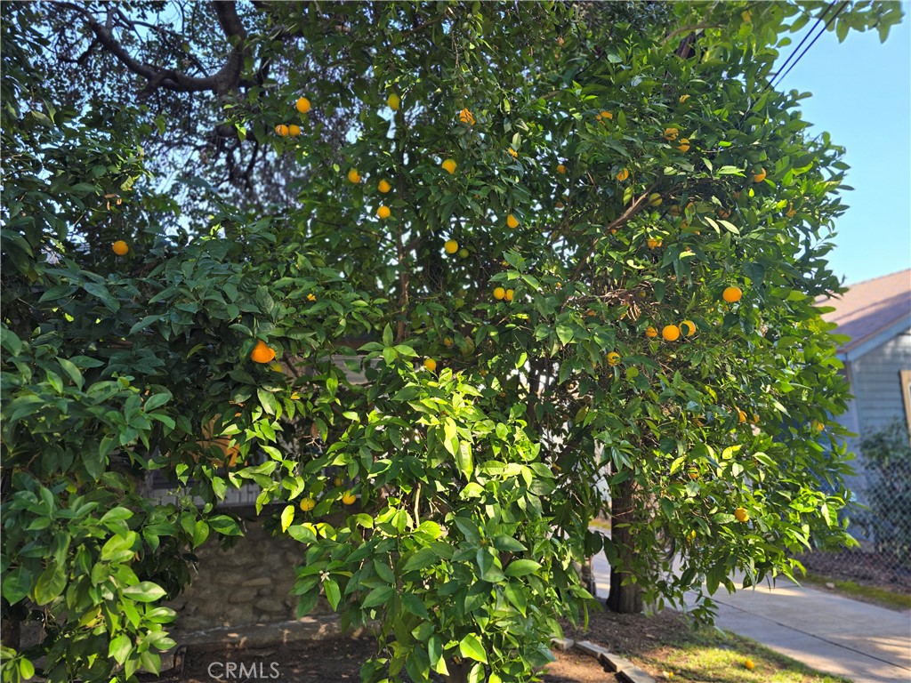 396 N Mentor Avenue 396