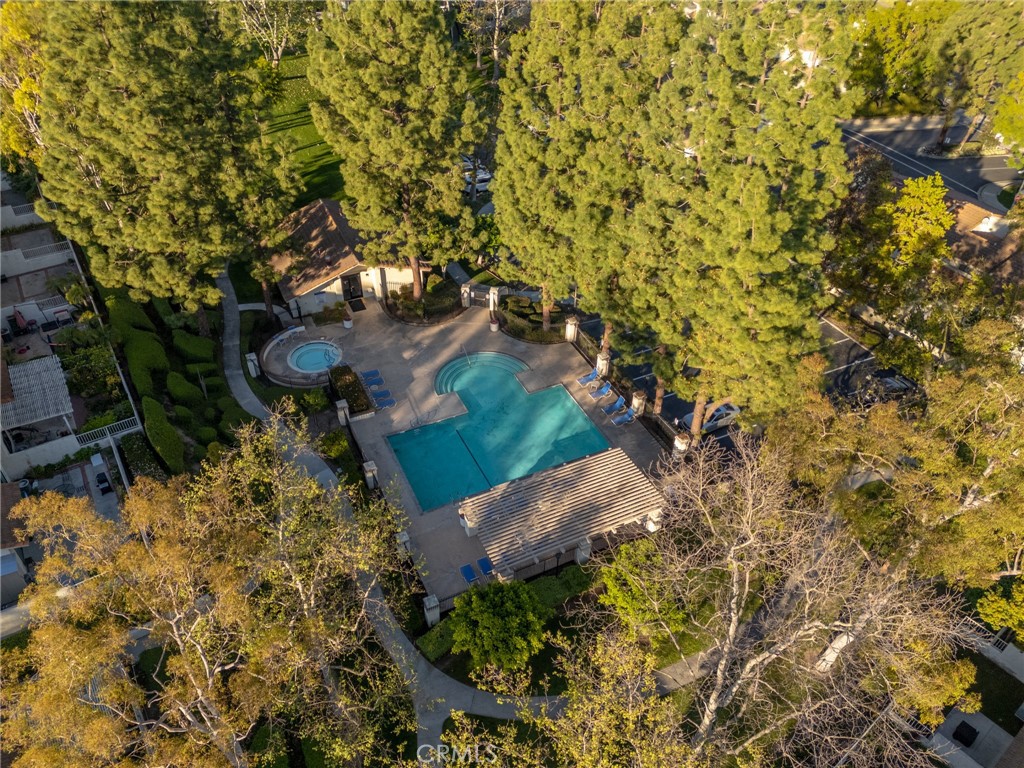 921 Creekside