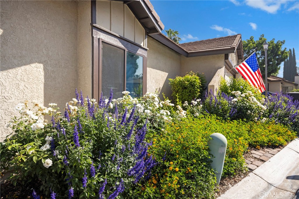 5050 Canyon Crest 7