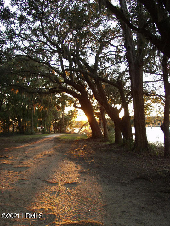 715 Distant Island Drive