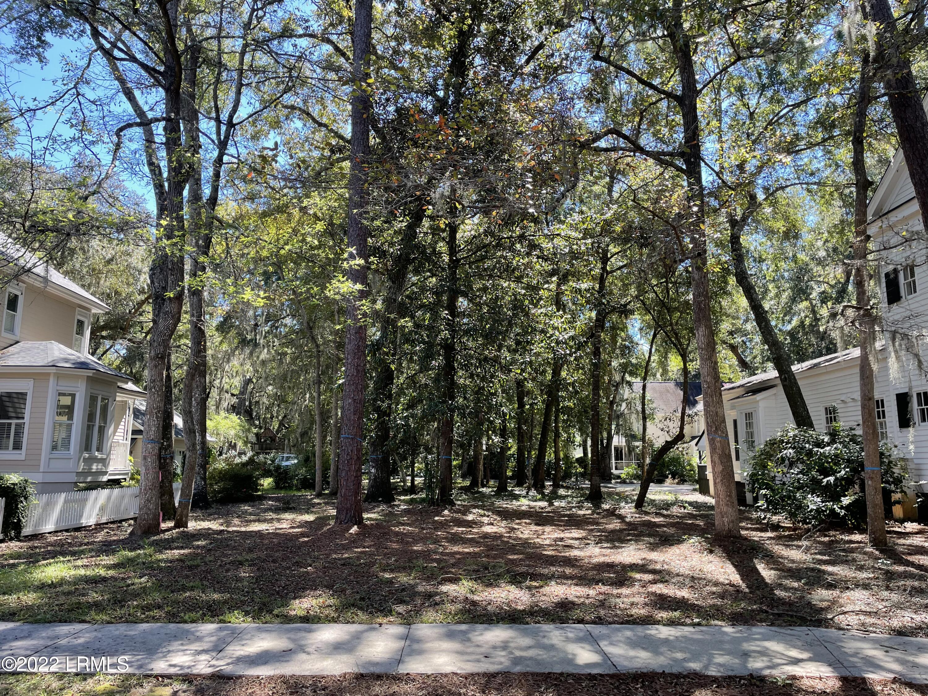 31 Mises Road