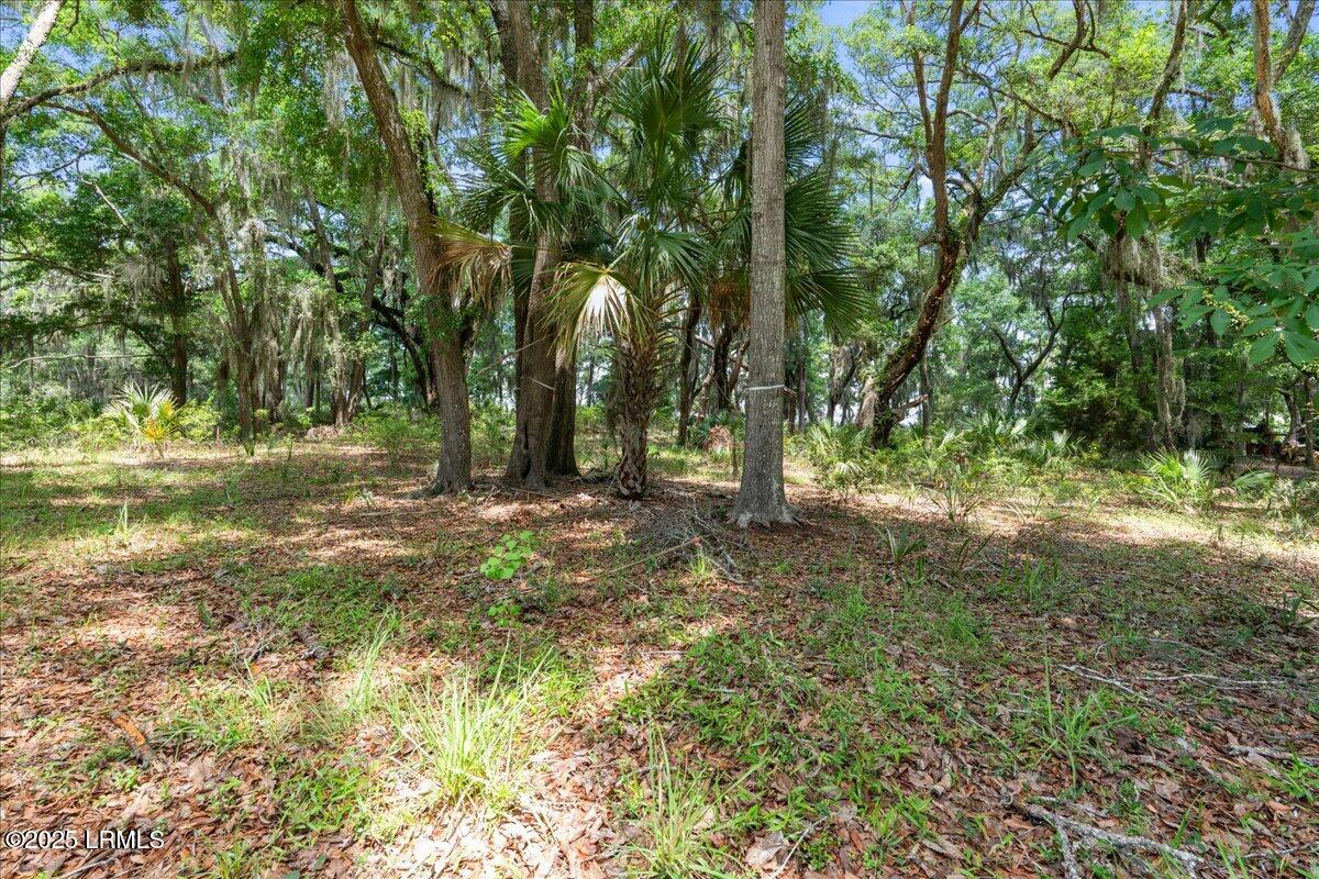 226 Old Plantation Drive W