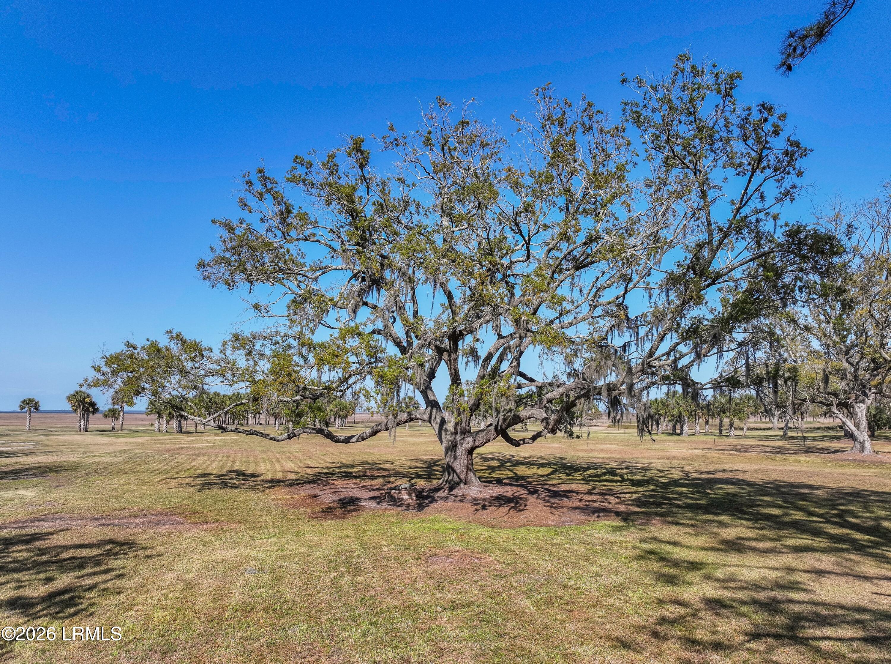 51 Creek View Drive